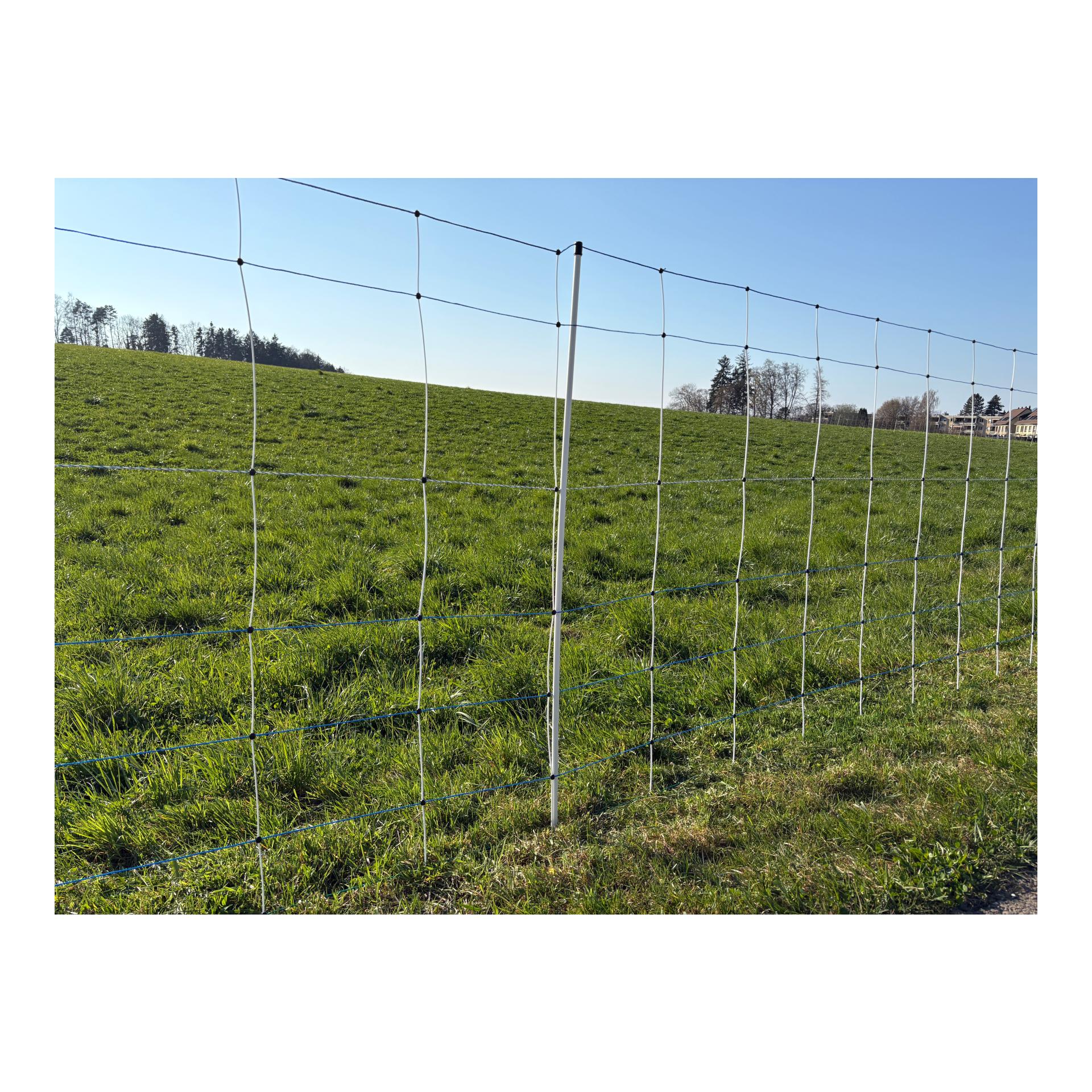 Hauptner Weidenetz Primaflex Alpin - Einzelspitz
