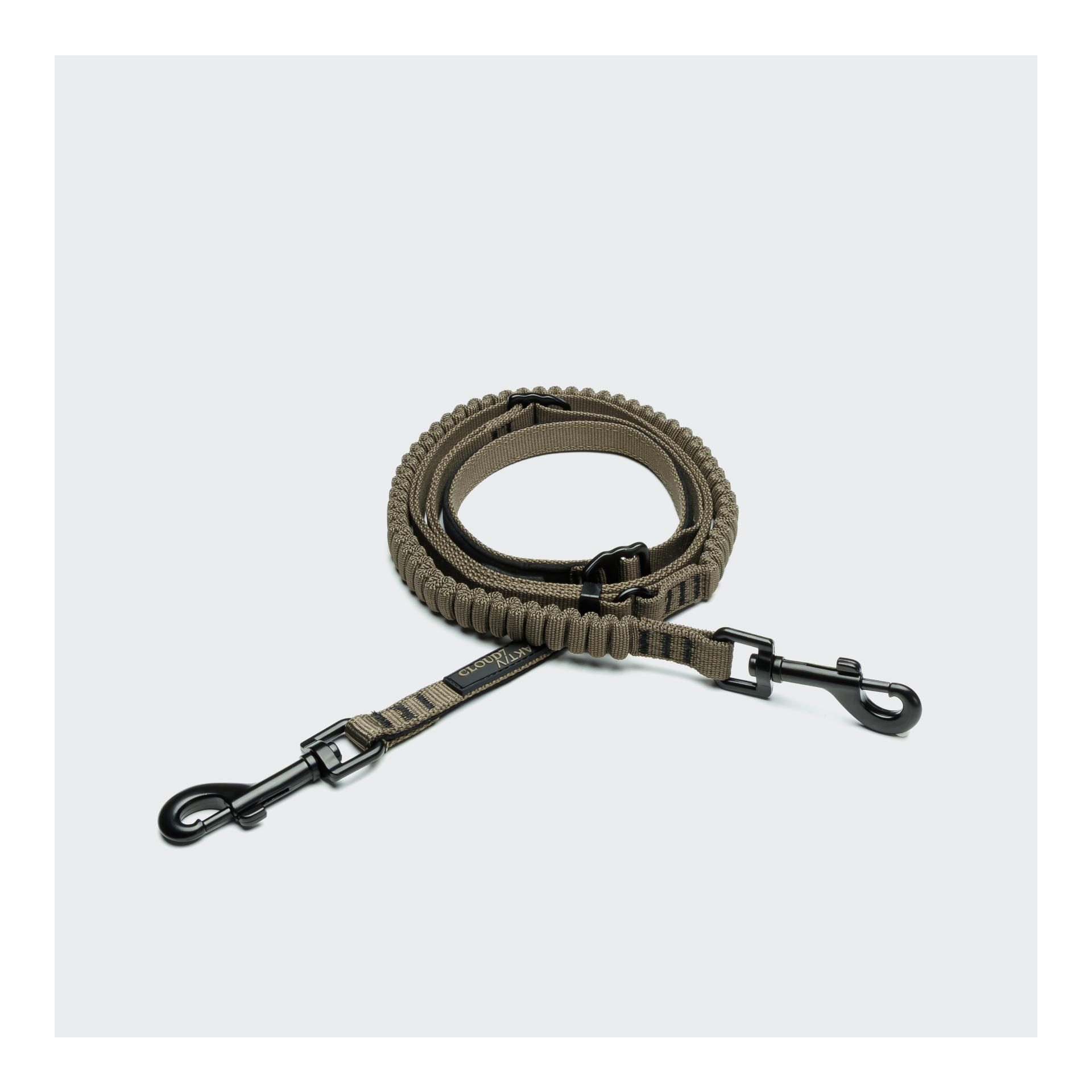 Cloud 7 L-2-Jogging-Hundeleine