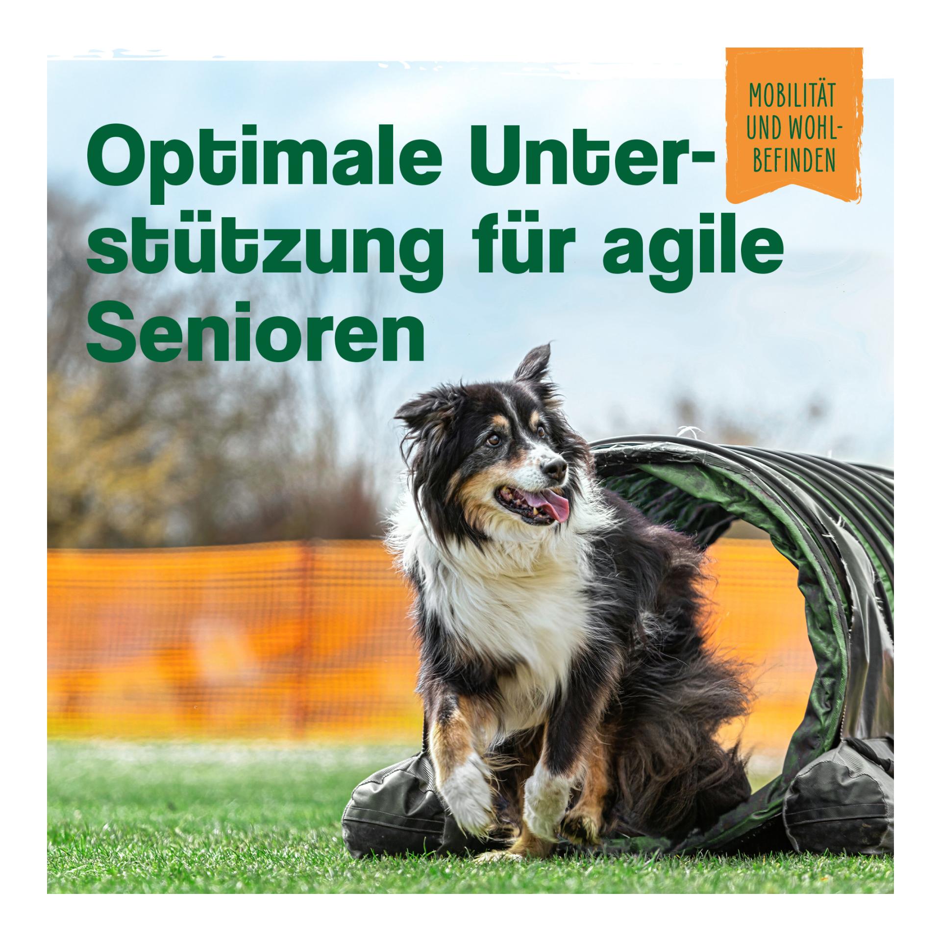 IdaPlus Senior Complex