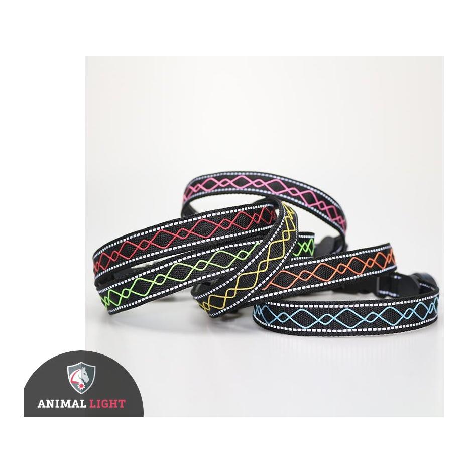 Collier lumineux pour chien "Beauty"