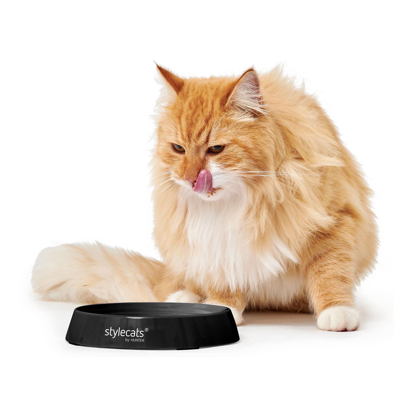Stylecats by Hunter Melamin-Napf für Katzen Moulins - schwarz