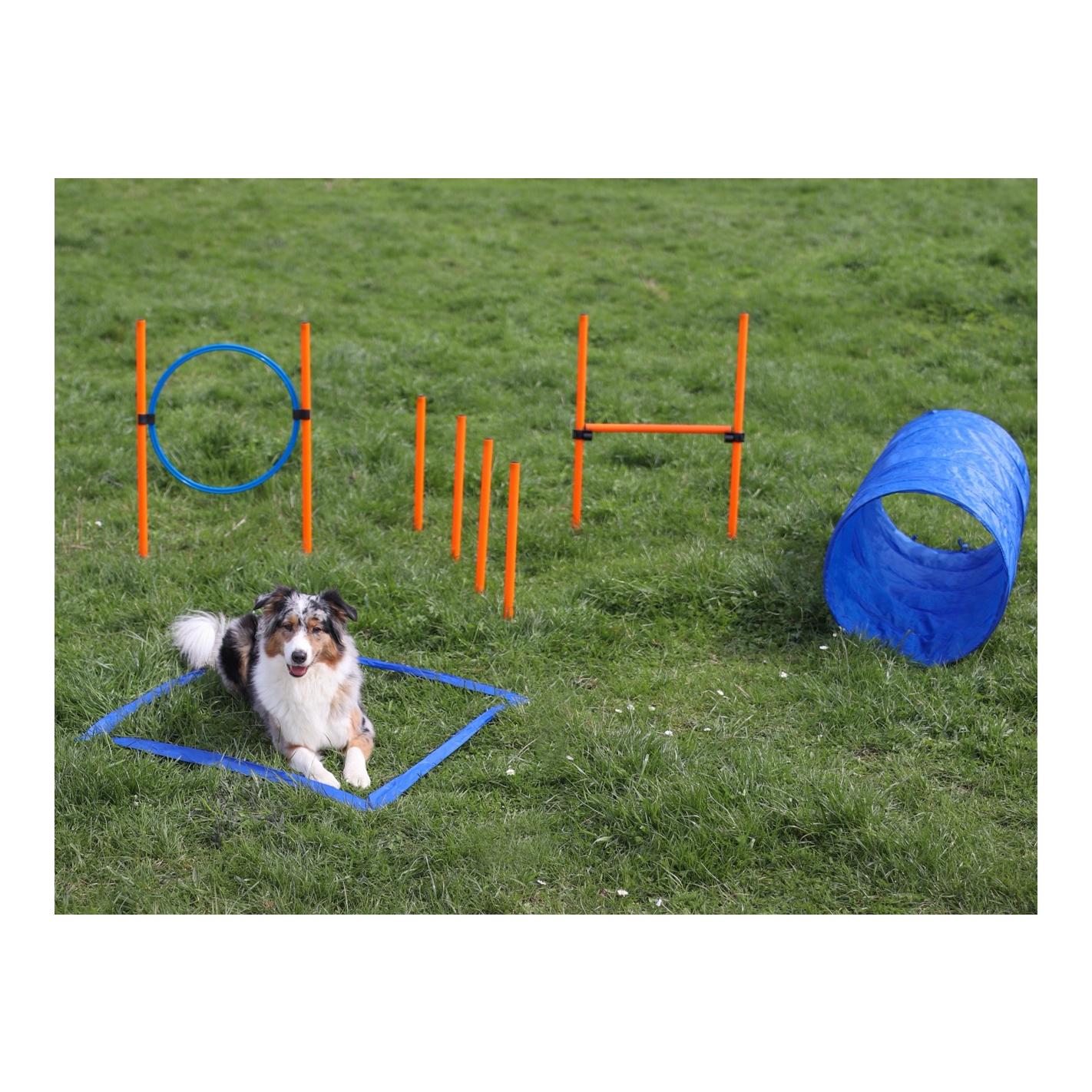 Josty Kit de démarrage Agility - entraînement pour chiens