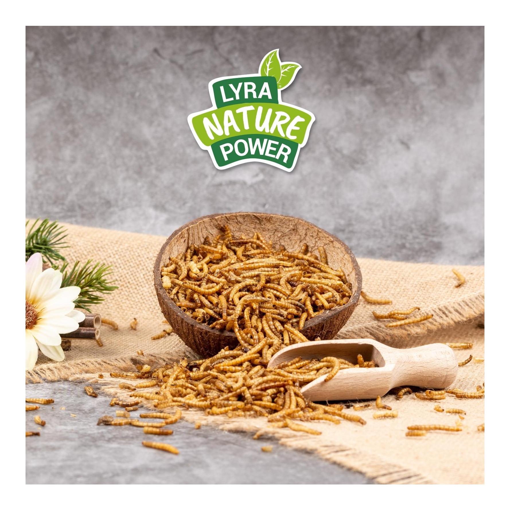 Lyra Pet Vers de farine séchés