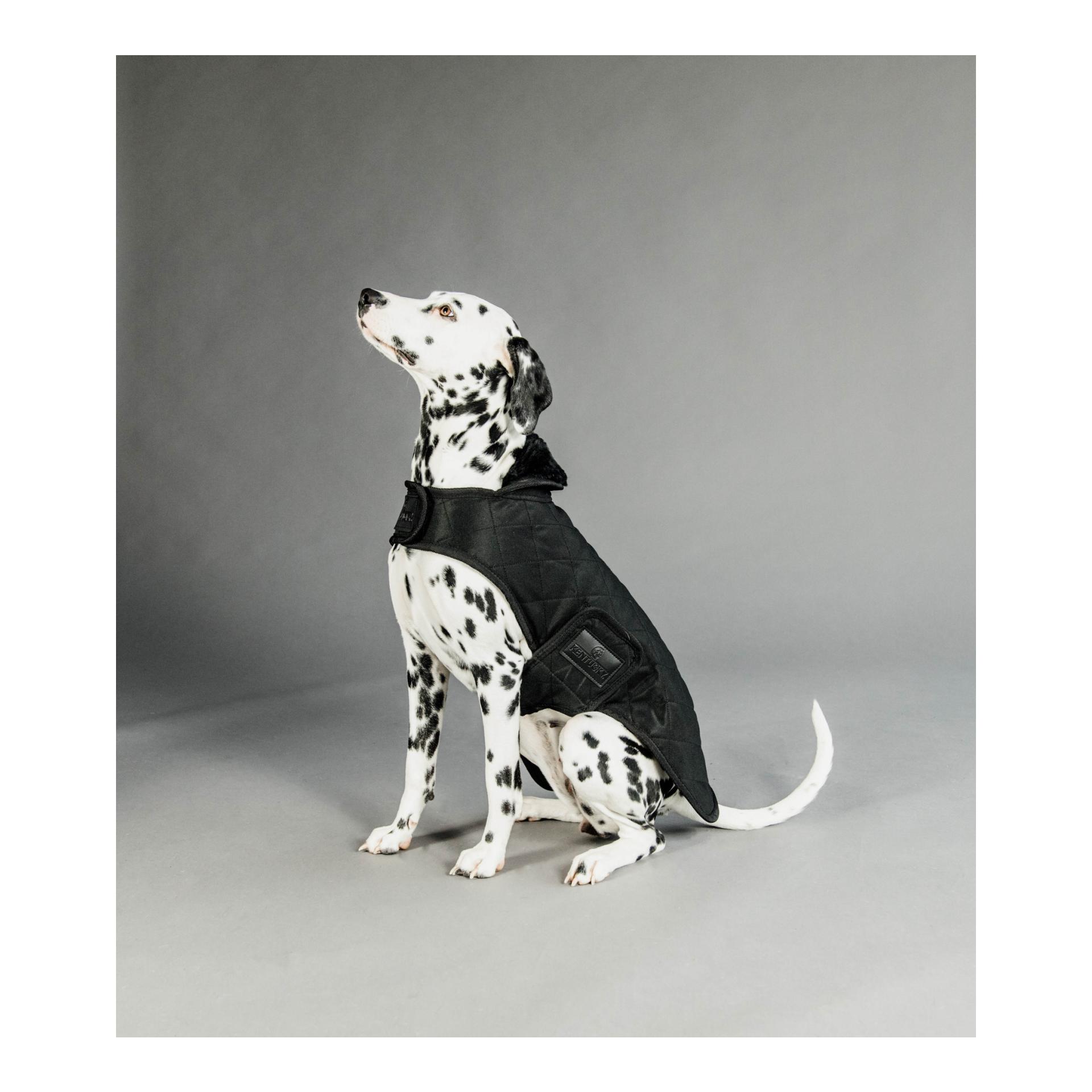 Kentucky Dogwear Manteau pour chien Original - black/black