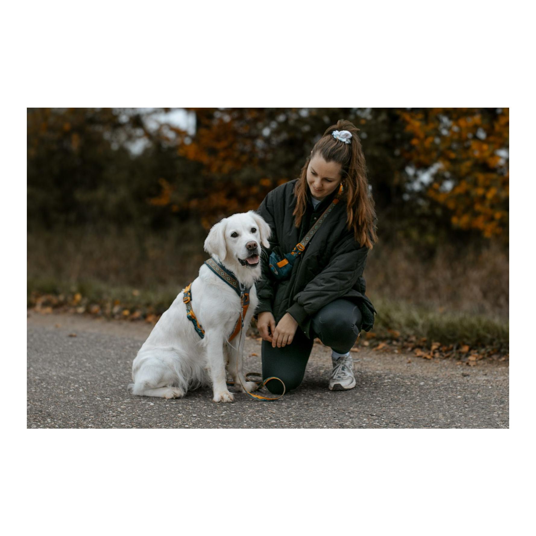 Non-stop Dogwear Hundegeschirr Line Harness 5.0 Rachel Pohl Edition