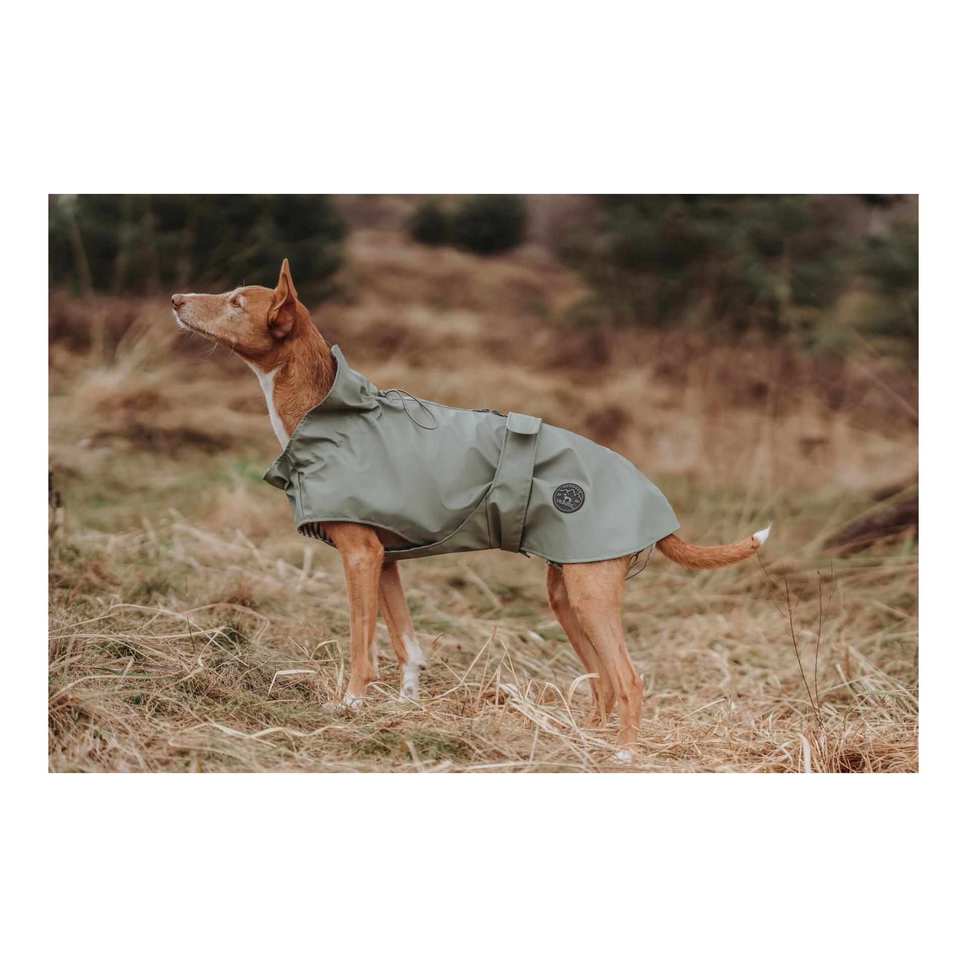 Hunter Imperméable pour chiens Milford