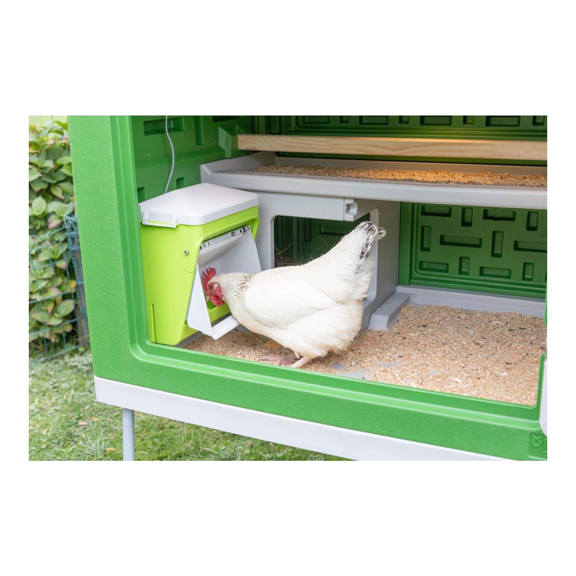 SmartCoop Distributeur automatique de nourriture avec clapet de protection