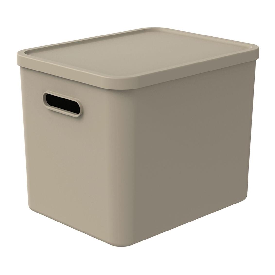 Rotho Multibox ALBULA