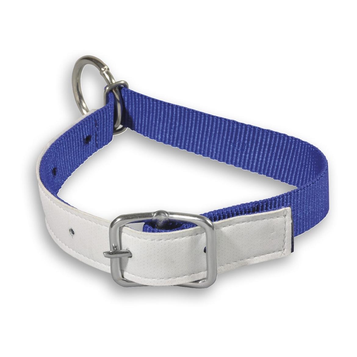 Mainer Halsband für kleine Tiere mit Dornschnalle 25 mm