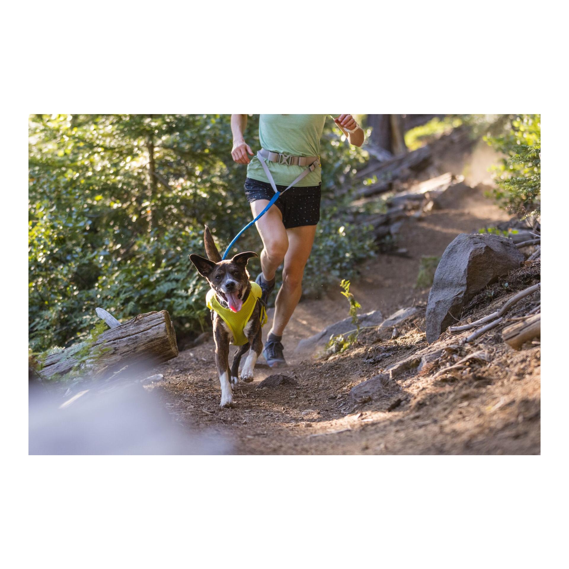 Ruffwear Trail Runner™ Leash Joggingleine