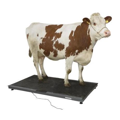 Kerbl PS Balance pour animaux