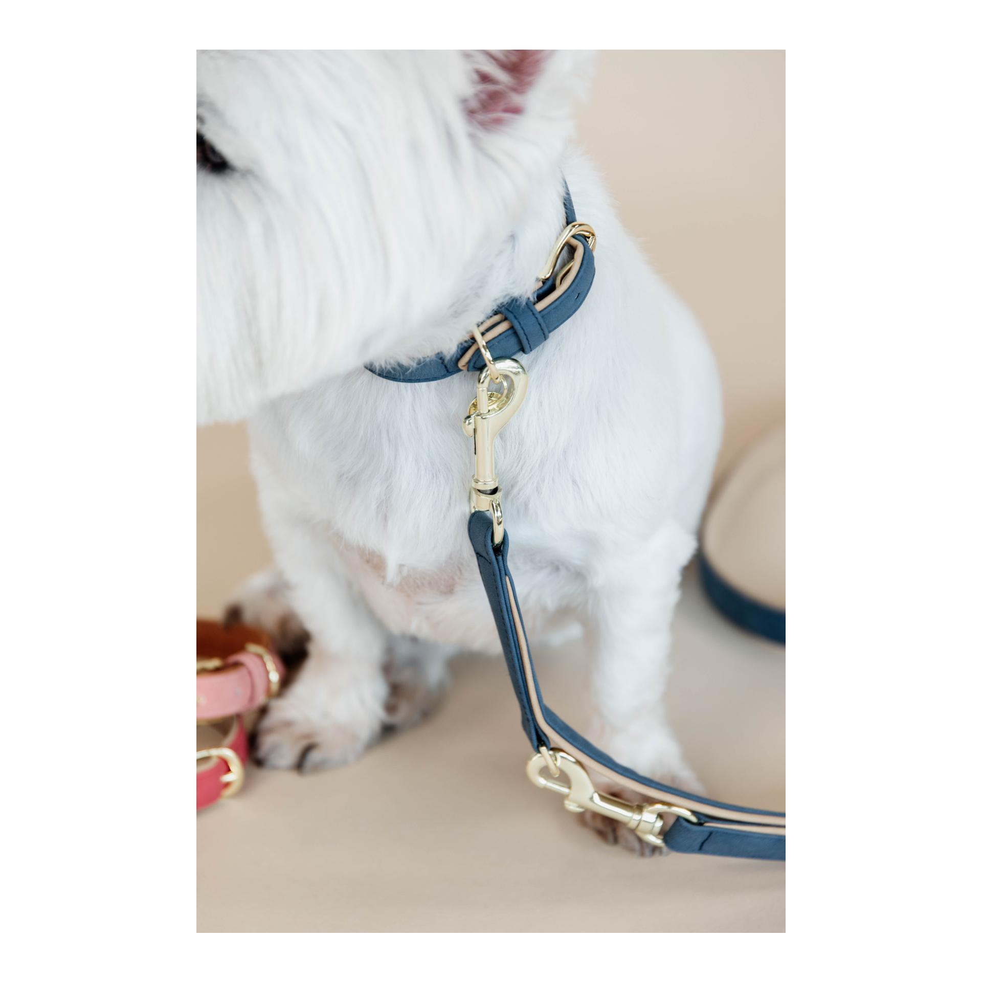 Kentucky Dogwear Hundehalsband Soft Vegan Leather