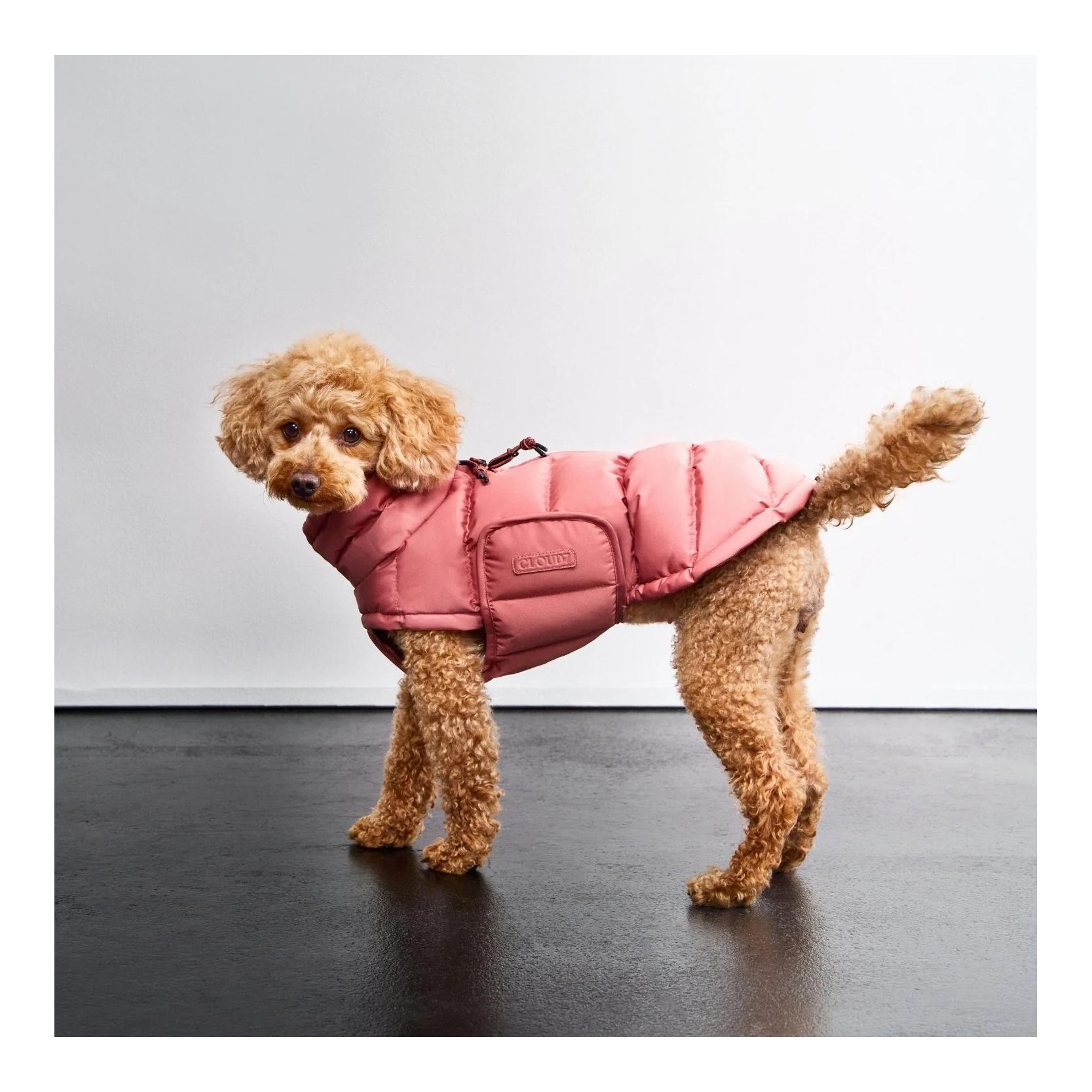 Cloud 7 Manteau d'hiver pour chien Alaska