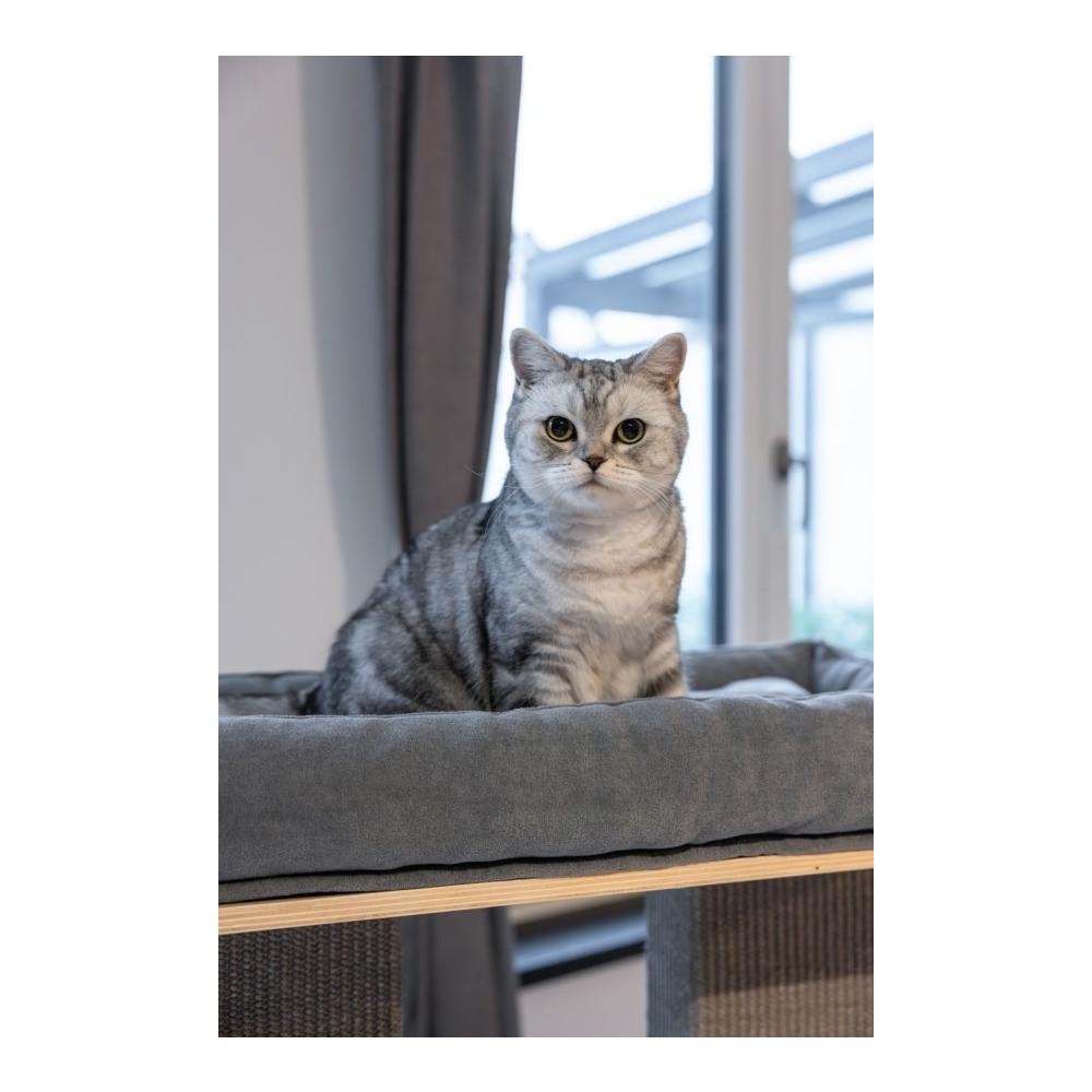 Kerbl Pet Arbre à chat Noah IV