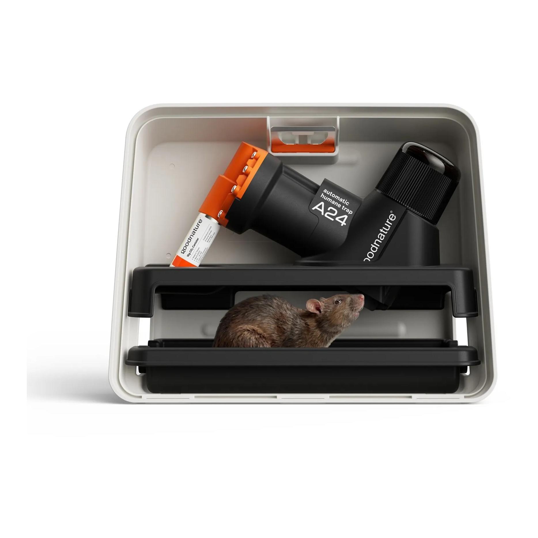 GoodNature A24 Professionelles Ratten- und Mäusefallen-Set