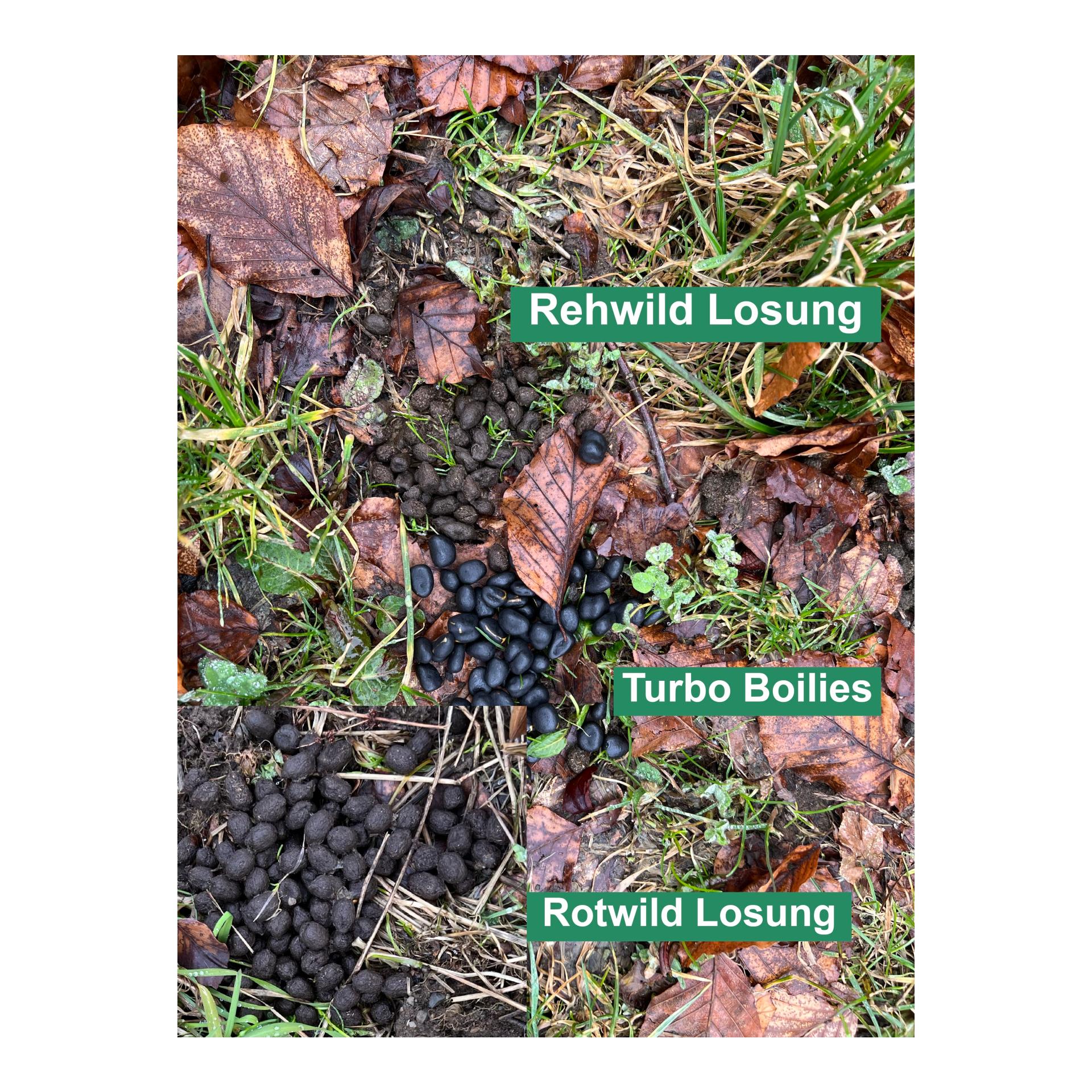 Wildlutscher Bouillettes de maïs Turbo