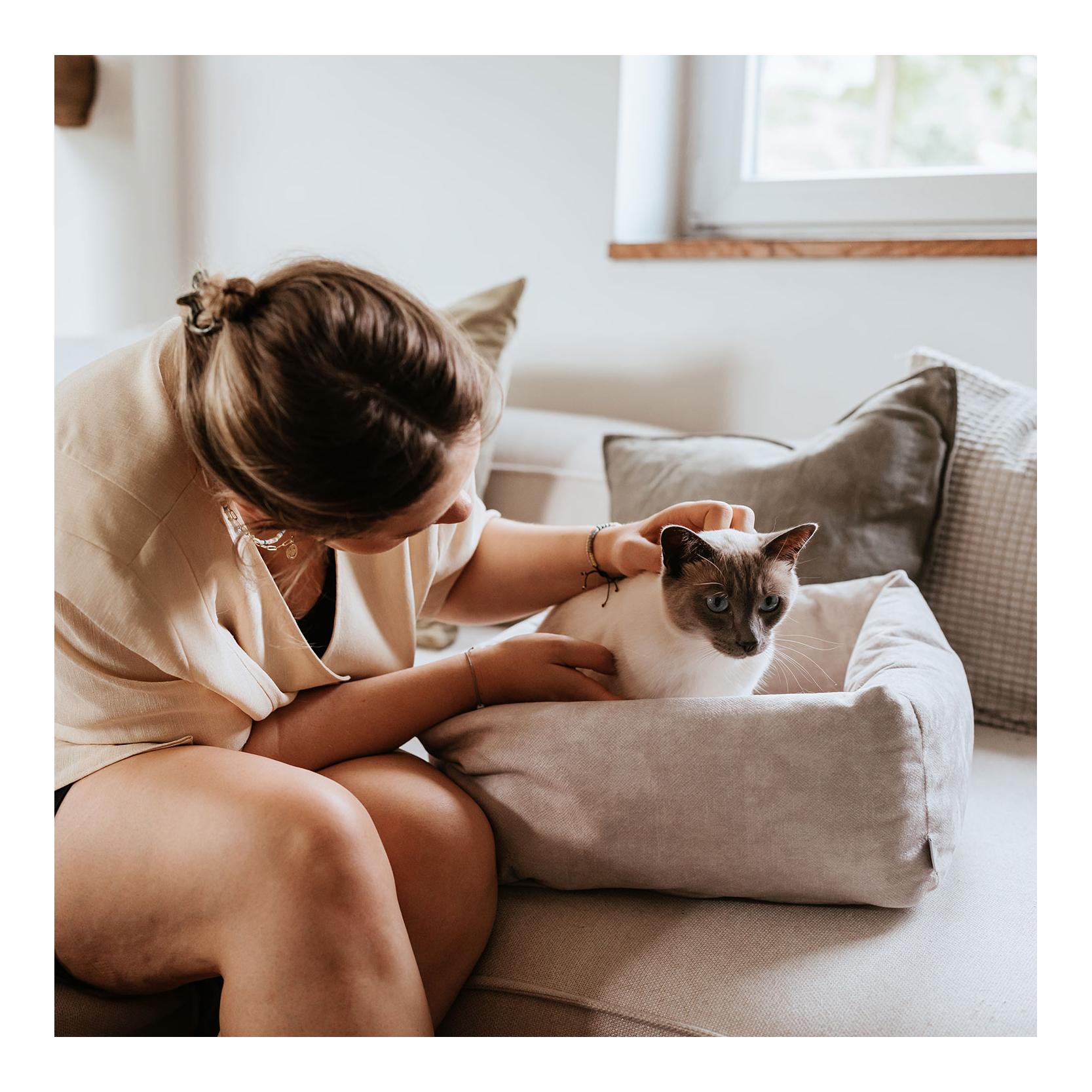 Stylecats by Hunter Katzenbett Dreamie
