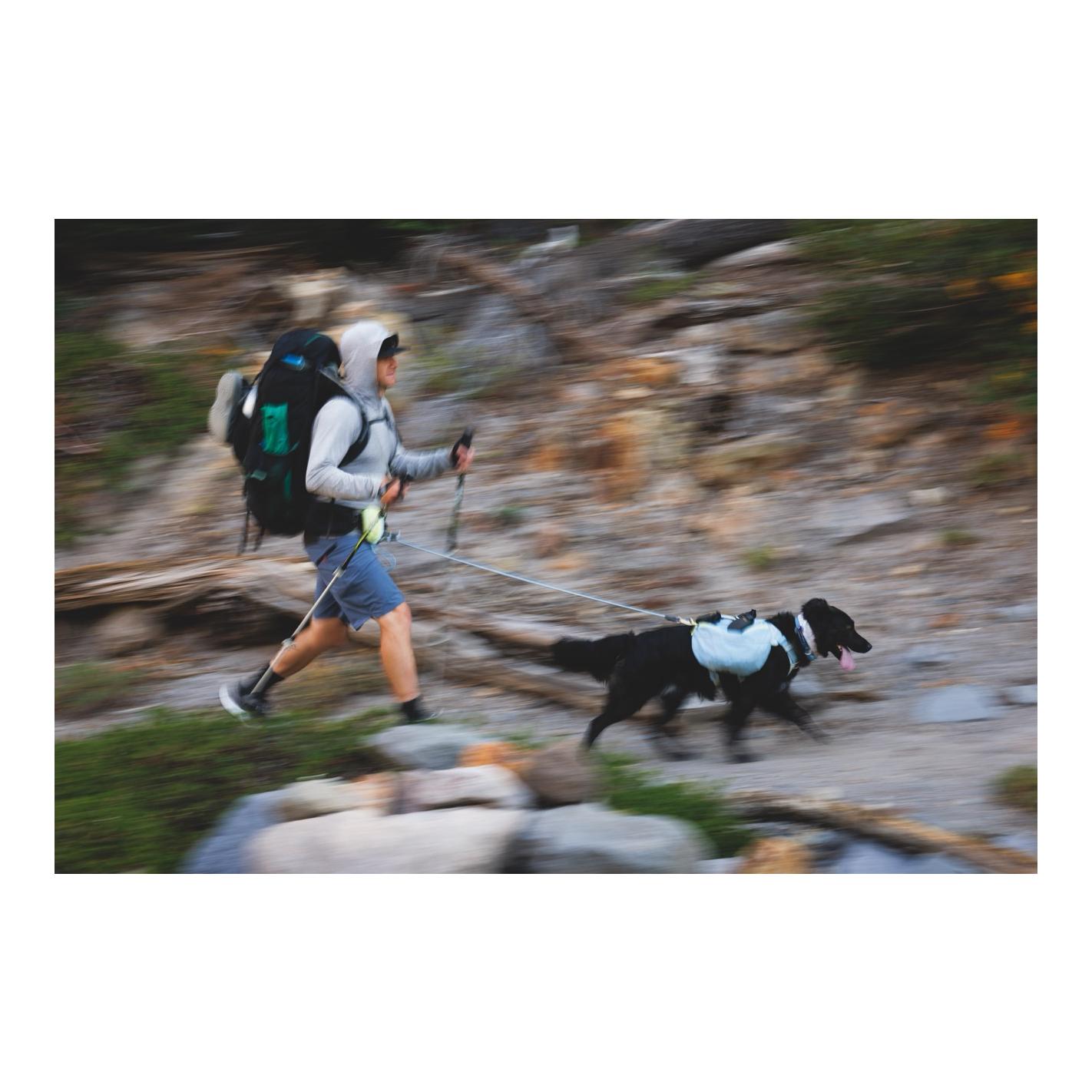 Ruffwear Laisse pour chien Hitch Hiker™