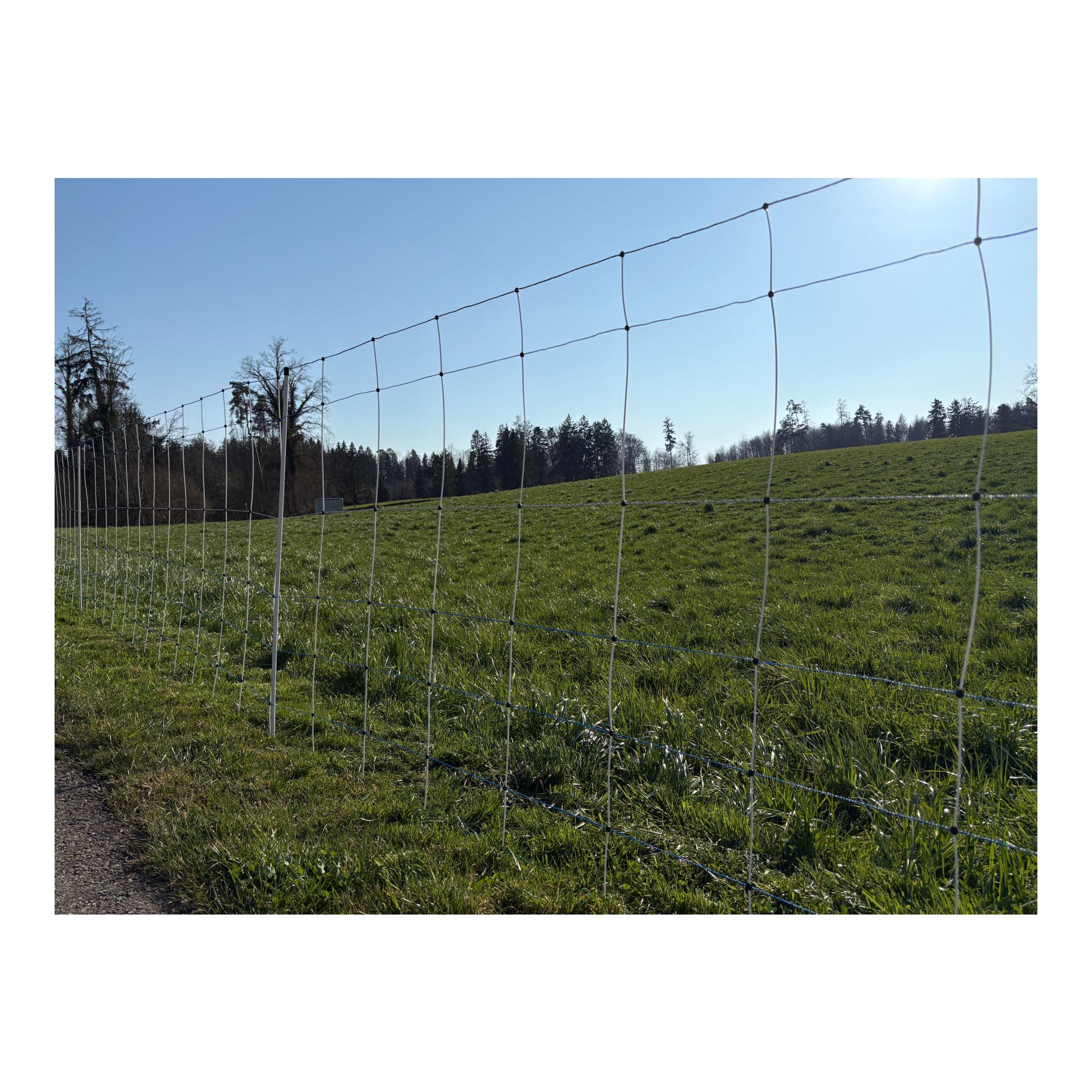 Hauptner Weidenetz Primaflex Alpin - Einzelspitz