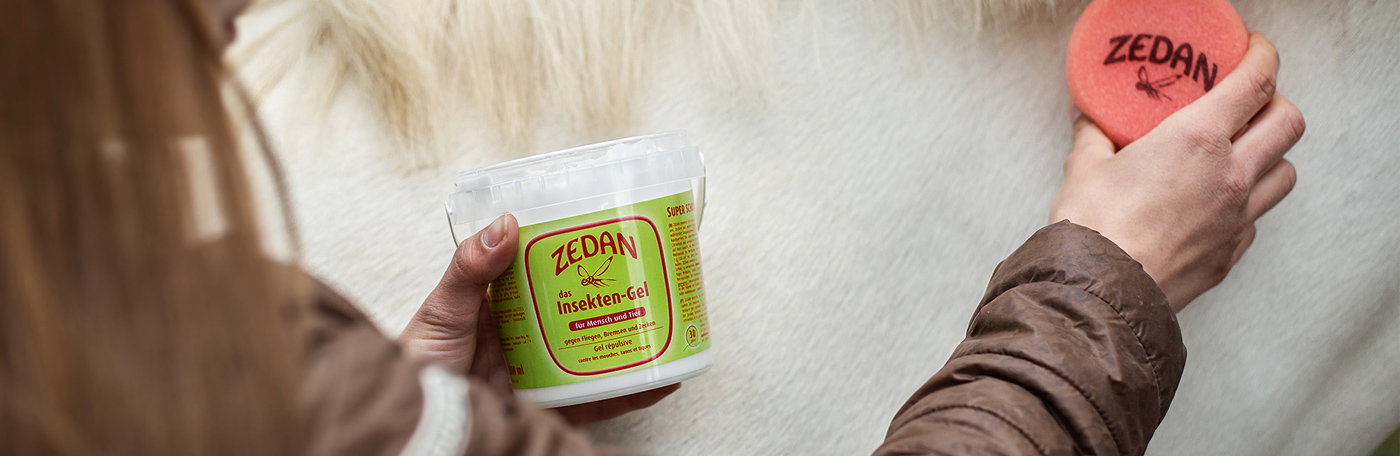 HPP-Zedan-1400x456