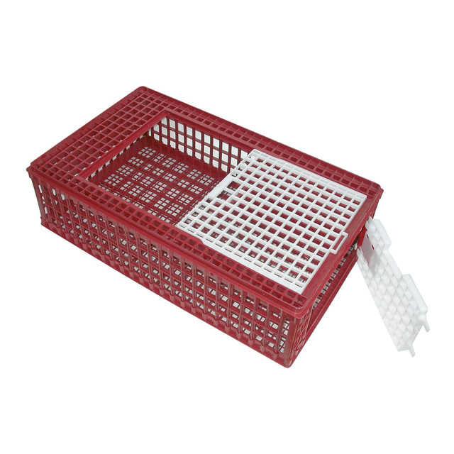 Kerbl Hobbyfarming Geflügel-Transportbox