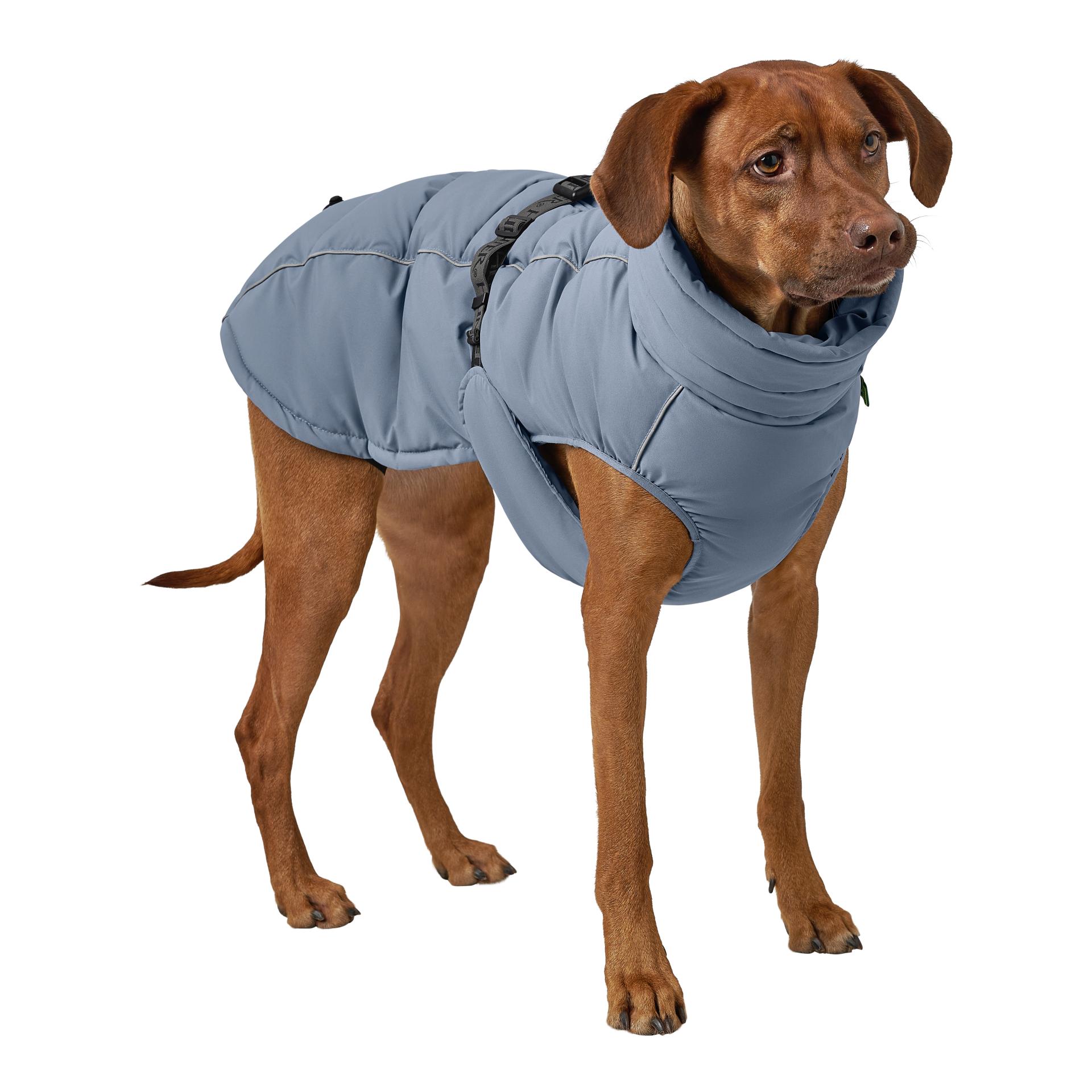 Hunter Manteau pour chien Paxson