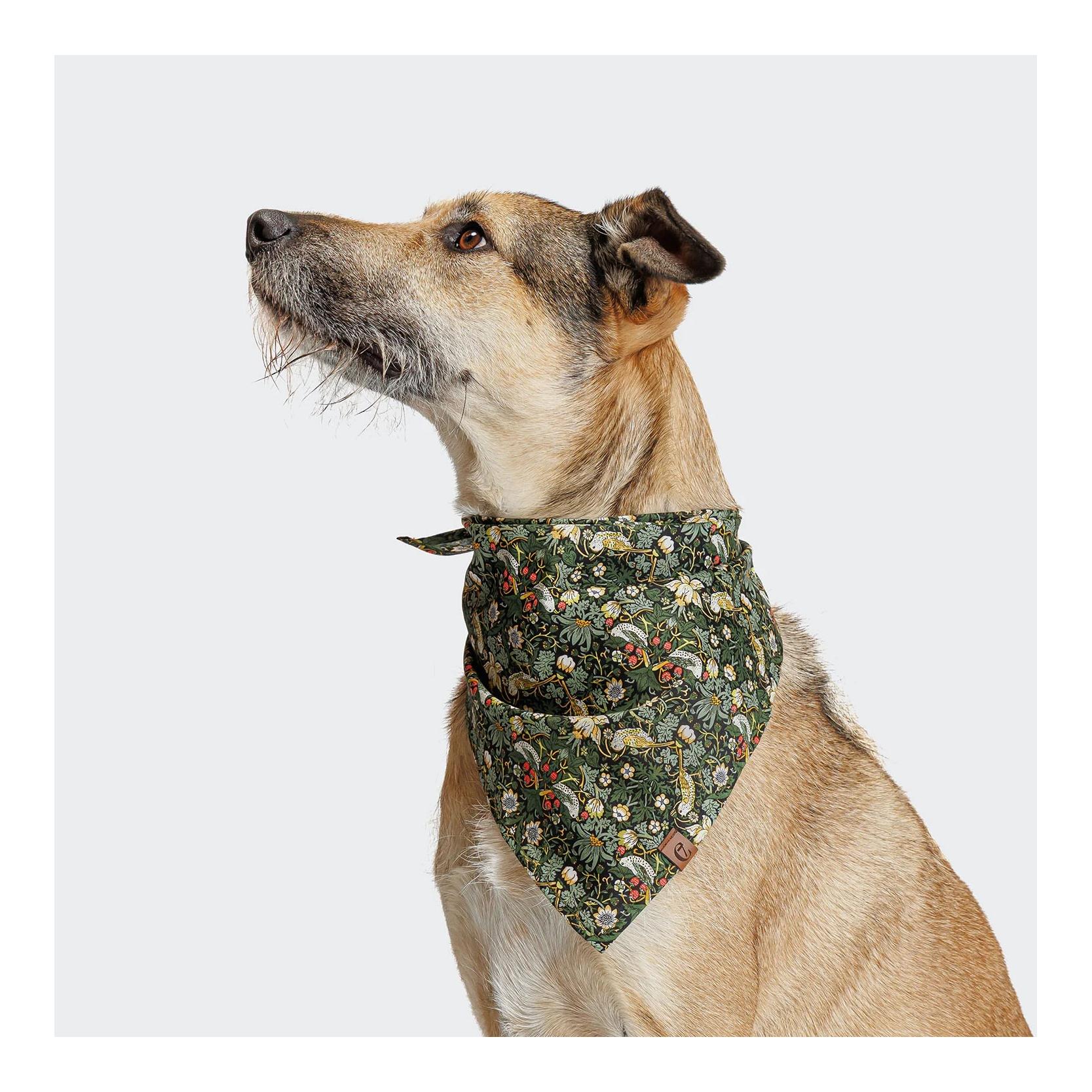 Cloud 7 Hundehalstuch Bandana
