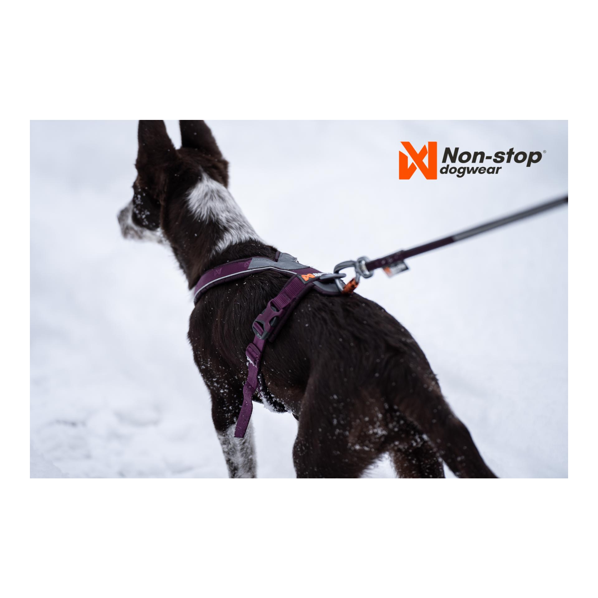 Non-stop Dogwear Line Harness 5.0 - purple