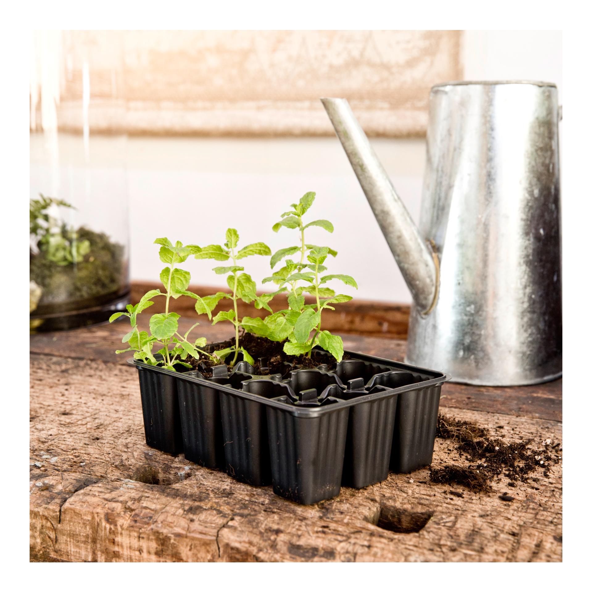 Windhager Topfplatten - schwarz