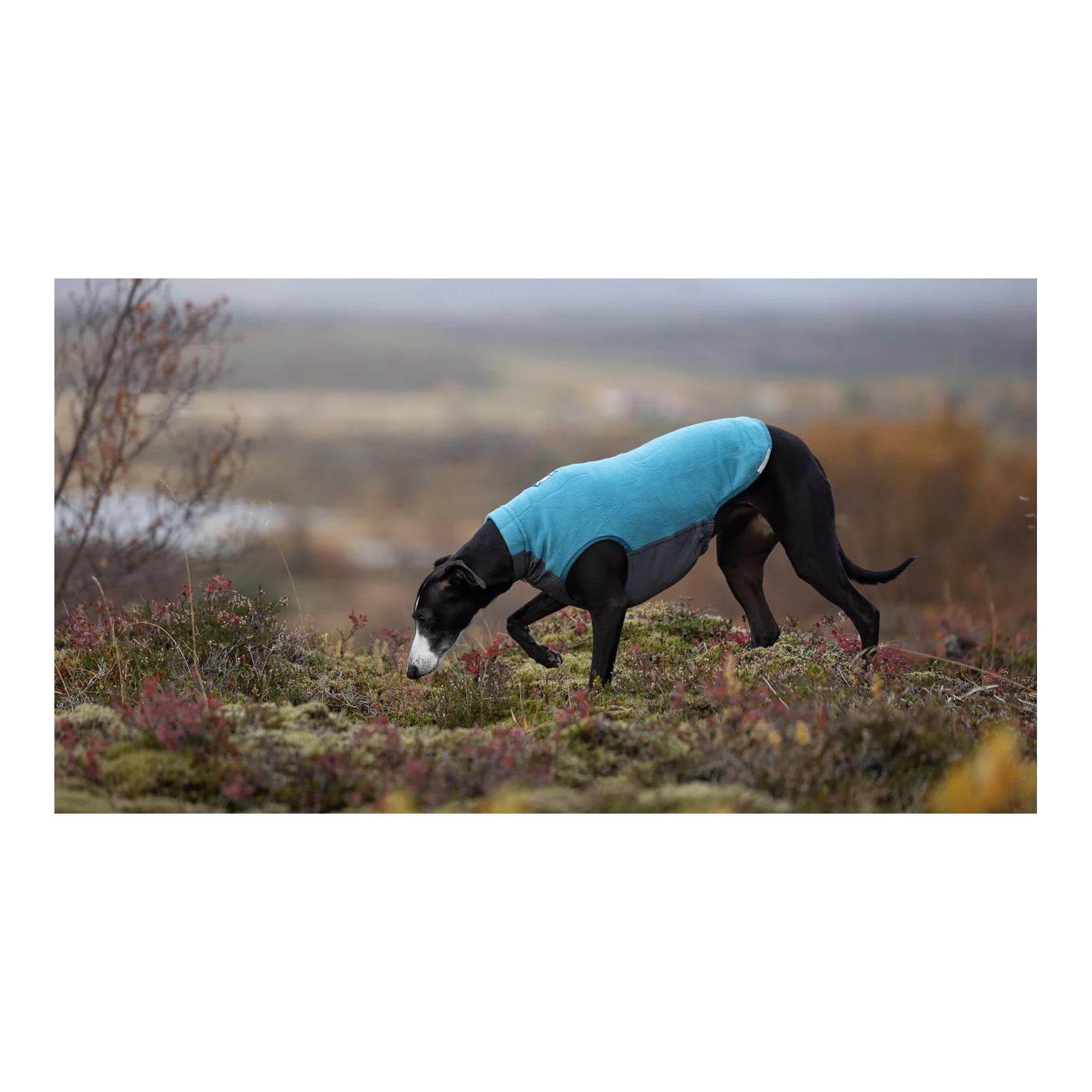 Non-stop Dogwear Pull polaire pour chien Trail quest