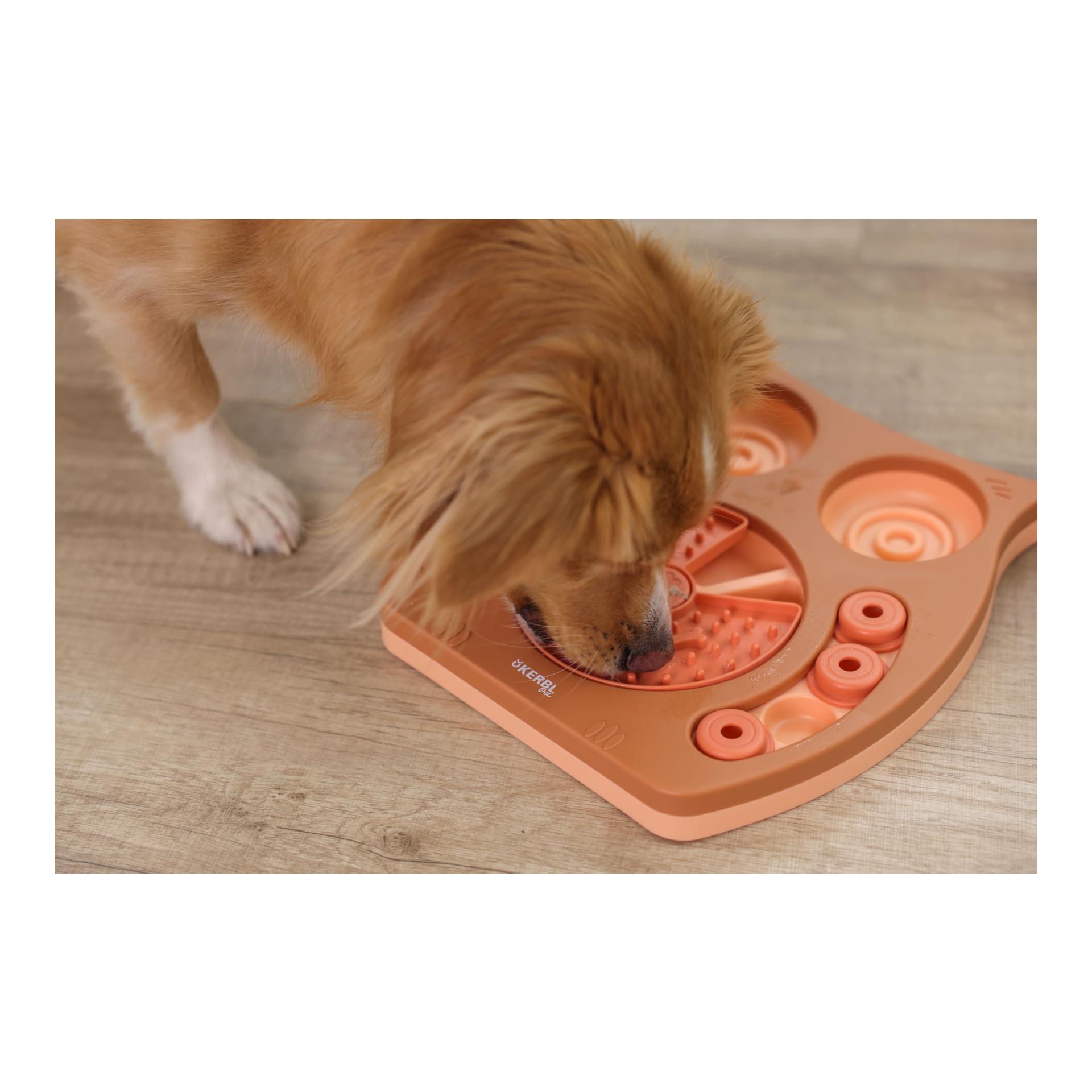 Kerbl Pet Jouets éducatifs et stimulants Owl
