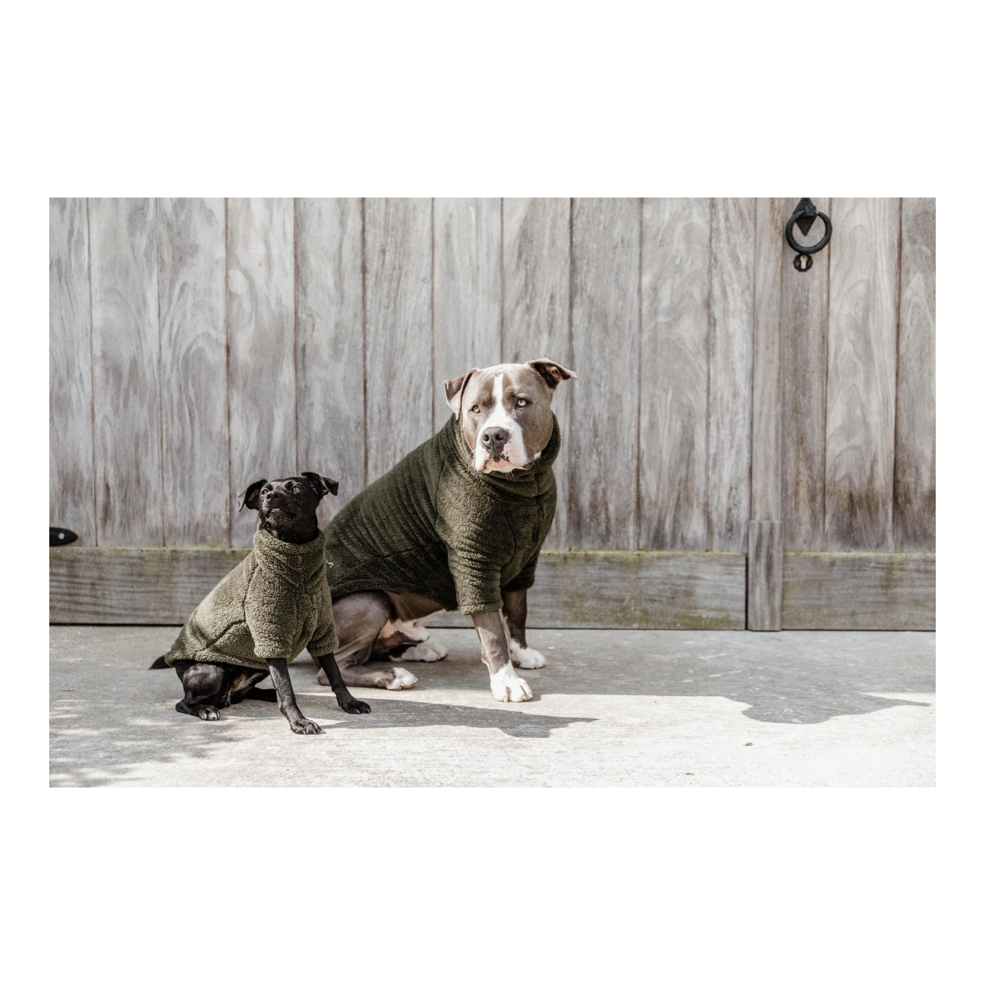 Kentucky Dogwear Pullover pour chien Teddy Fleece - Pine Green