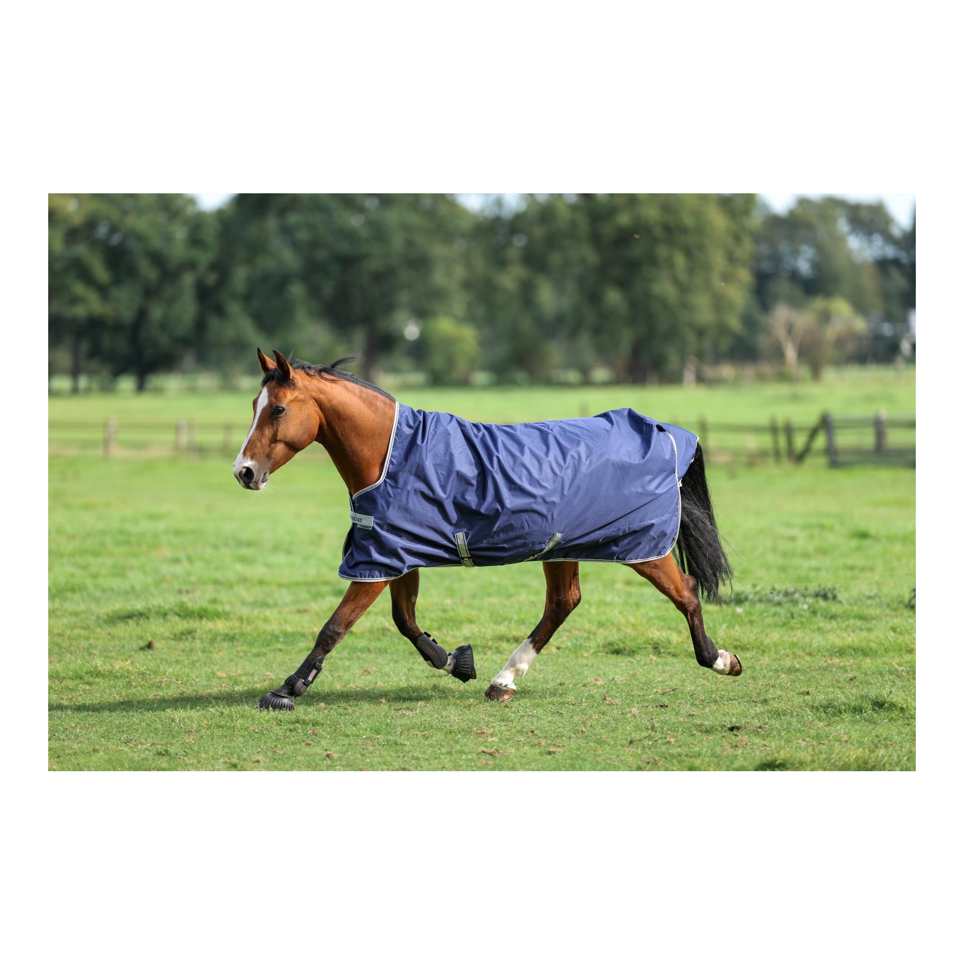 Bucas Weidedecke Freedom Turnout High Neck 150g - navy/silver
