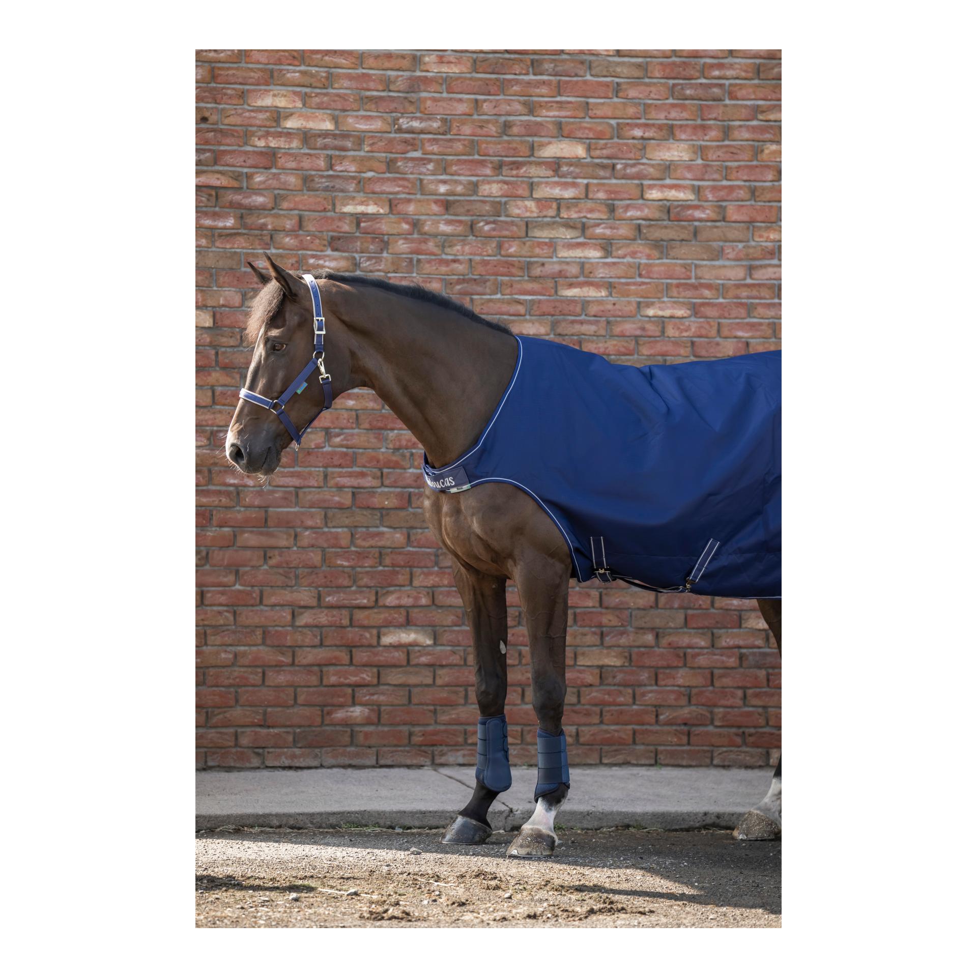 Bucas Walkerdecke - navy