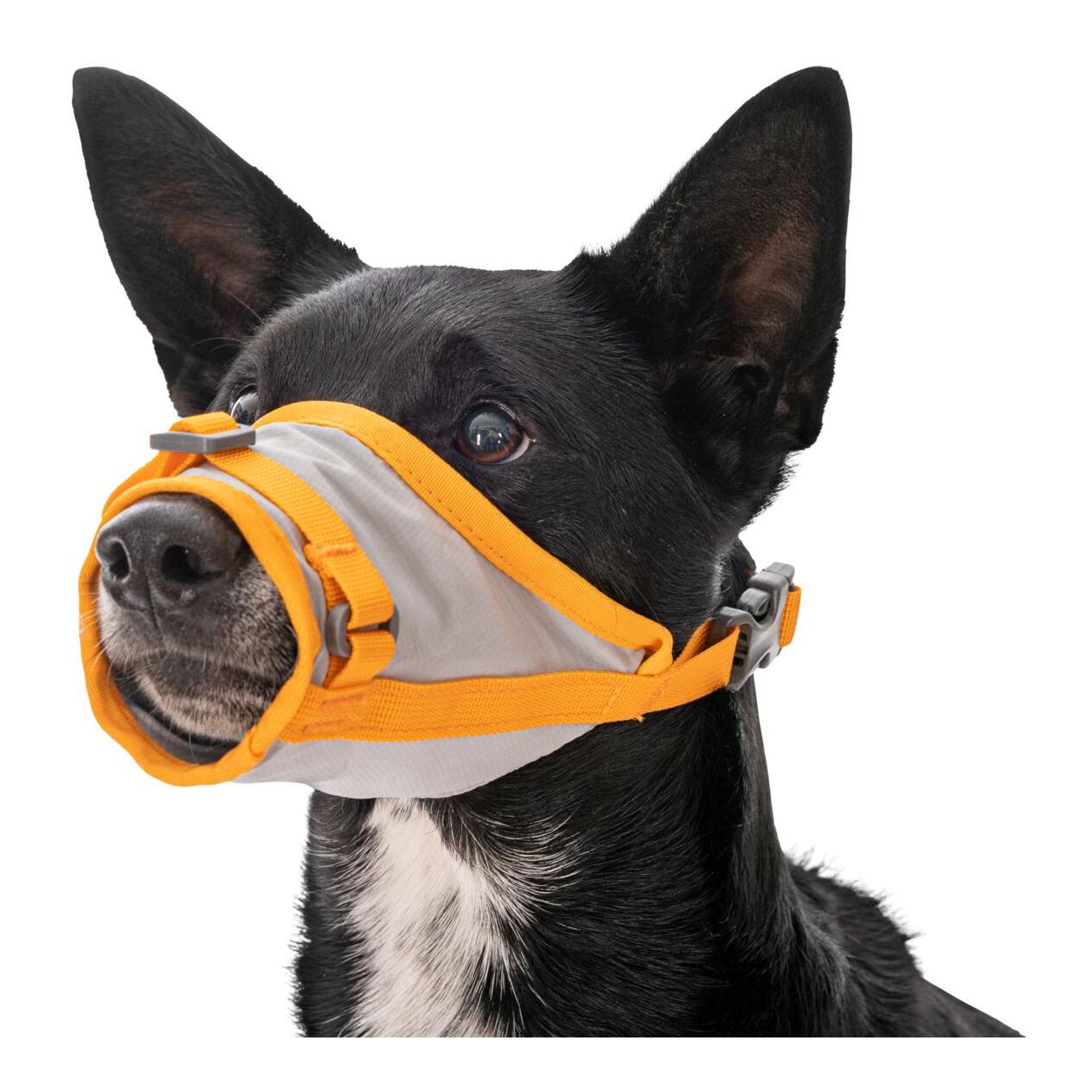 Ruffwear Hundenotfall-Set BackTrak Dog Evacuation Kit