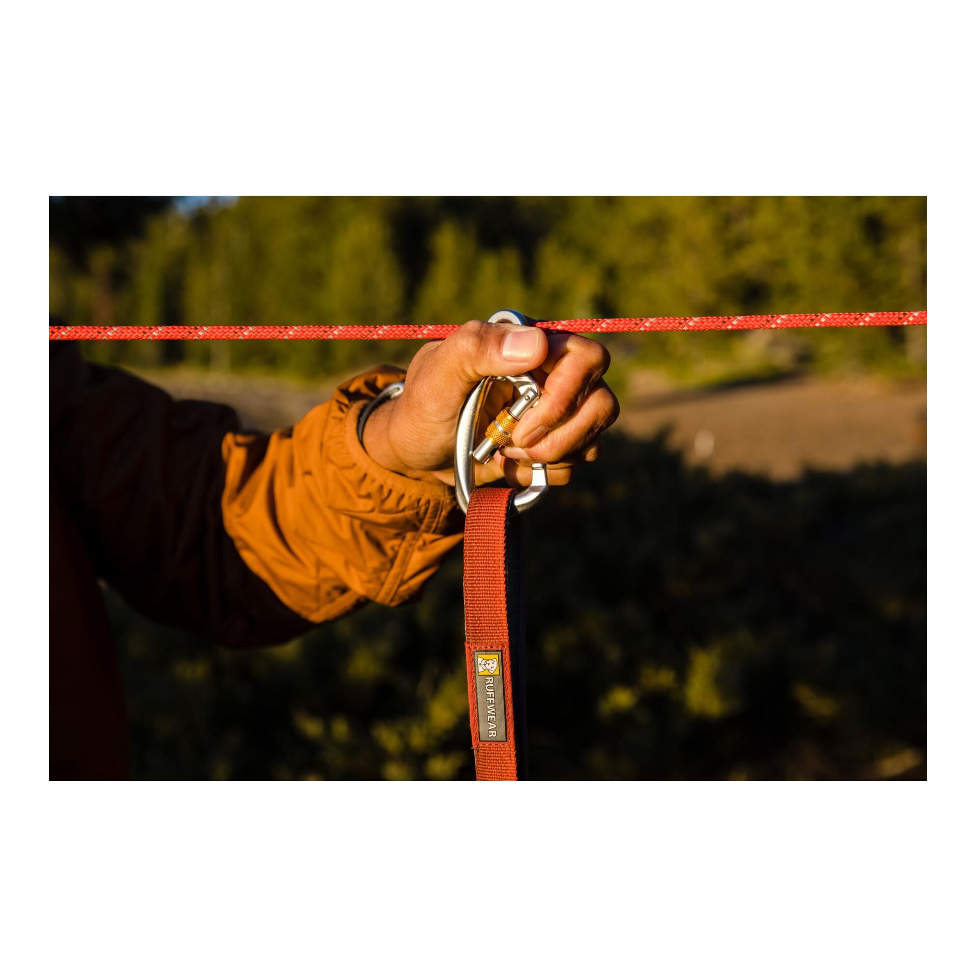 Ruffwear Knot-a-Hitch™ - Système d'attache pour chien