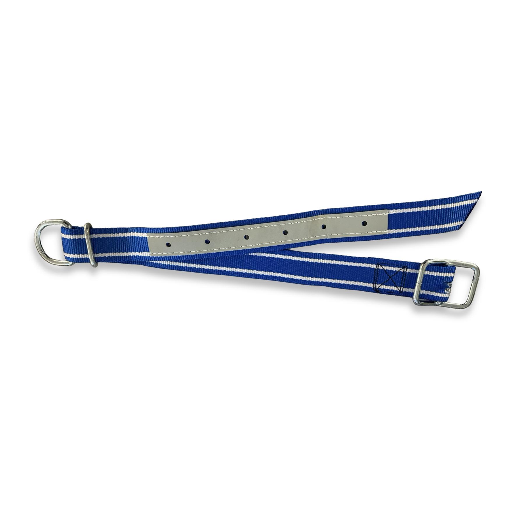 Hauptner Halsband mit Dornschnalle 40 mm