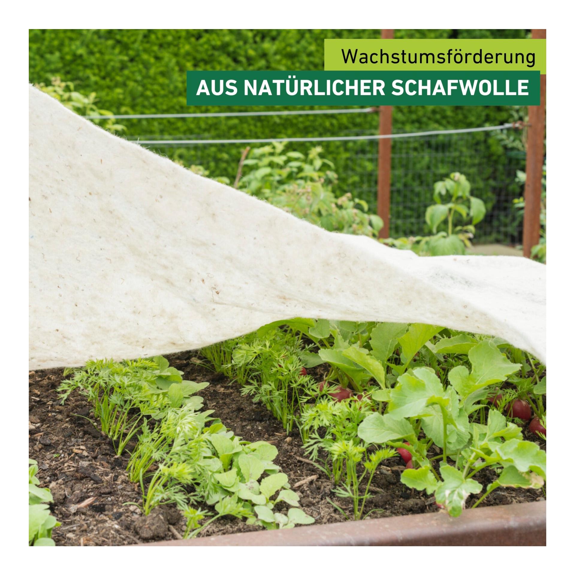 Windhager Schafwoll-Wachstumsmatte Greenline Weiss