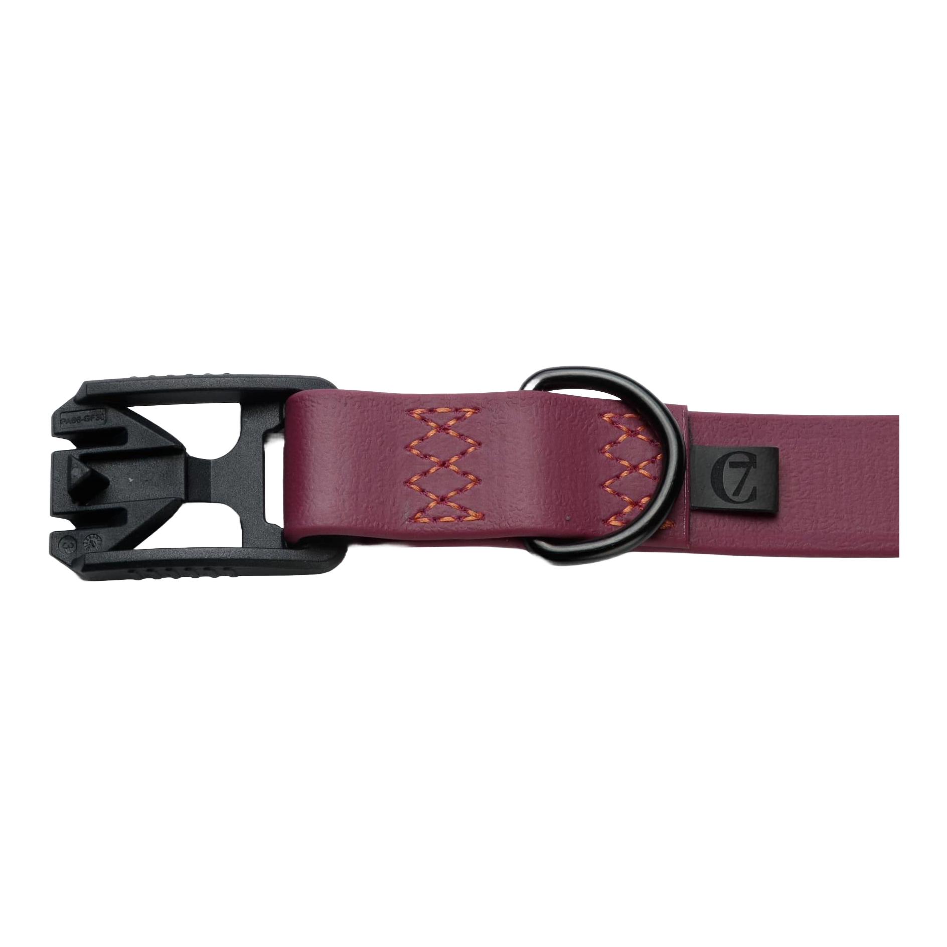 Cloud 7 Collier de chien Biothane Ipanema