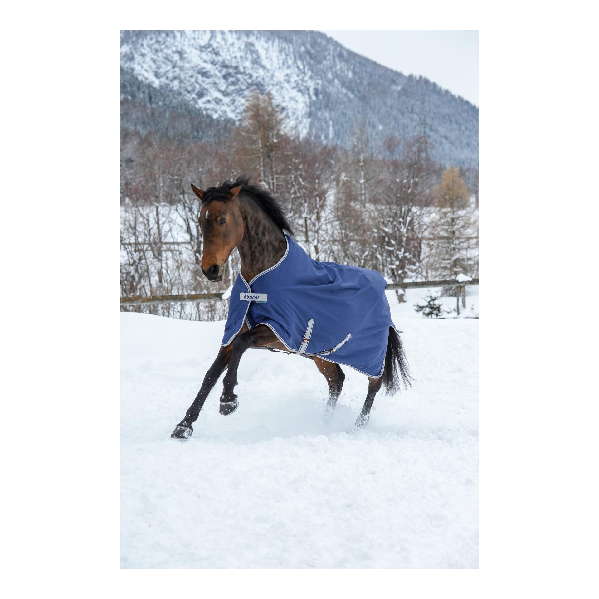 Bucas Winterdecke FREEDOM Turnout 300g - navy/silber
