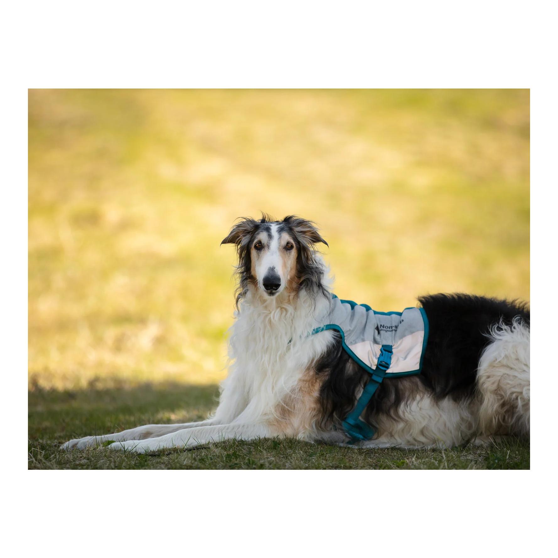 Non-stop Dogwear Kühlweste für Hunde