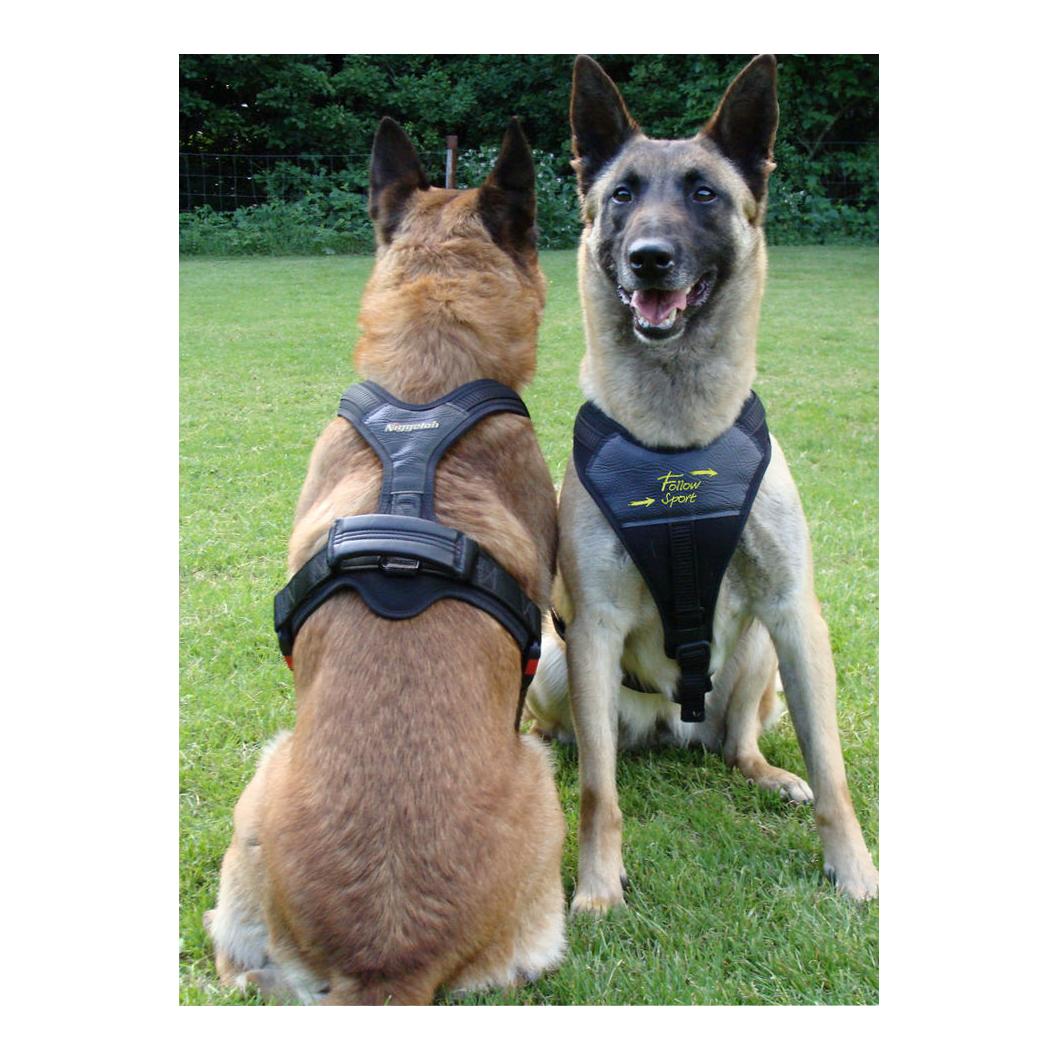 Niggeloh Harnais pour chien Follow Sport