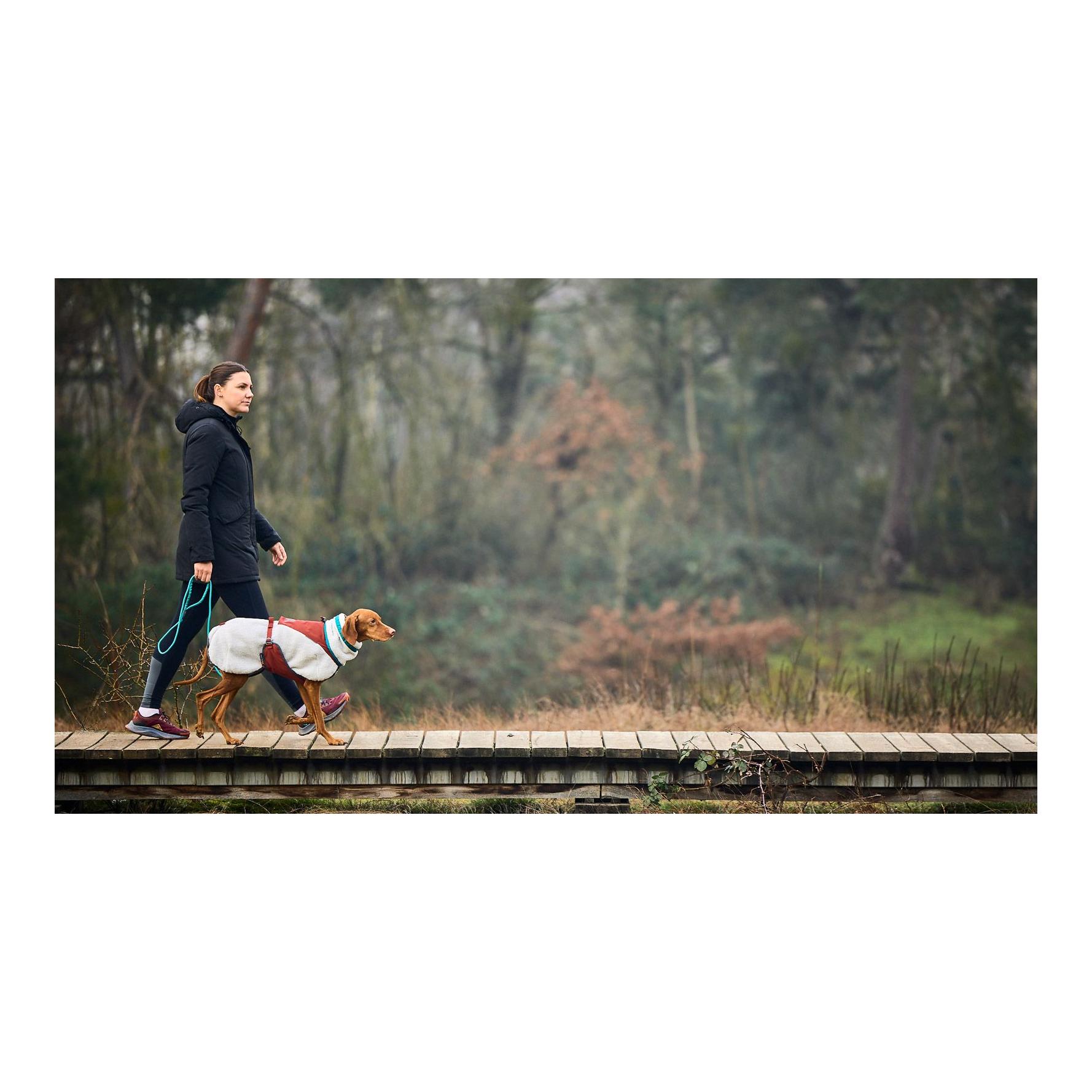 Non-stop Dogwear Laisse pour chien Trekking Rope Leash, 6mm