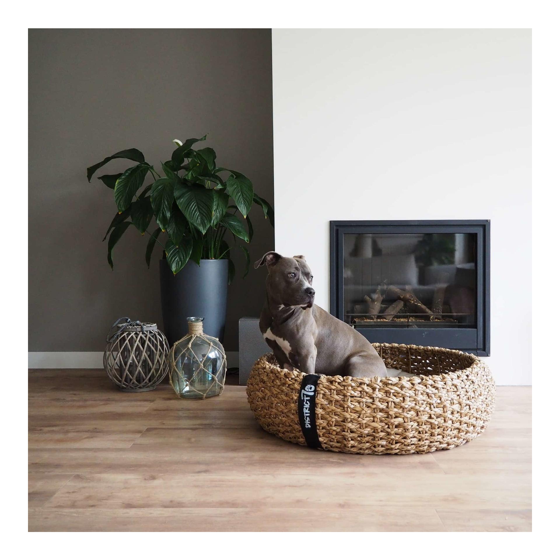 District70 Hundebett Cocoon Natural