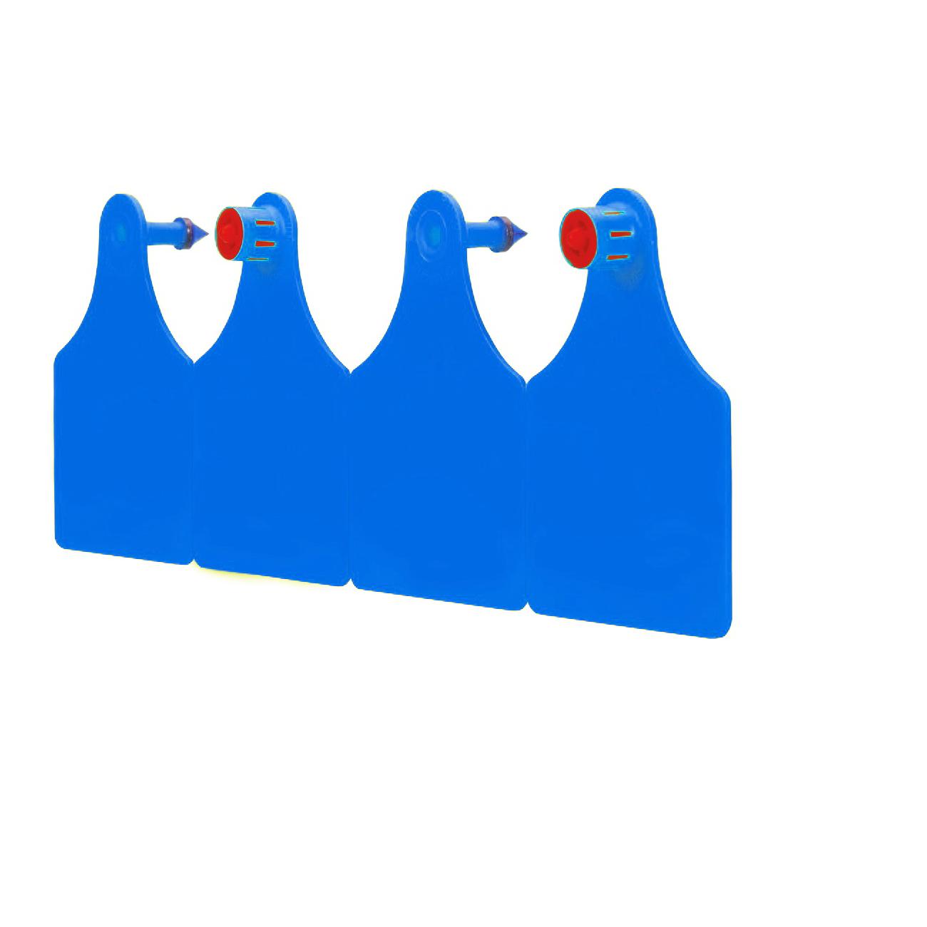 Caisley FlexoPlus DD - blau