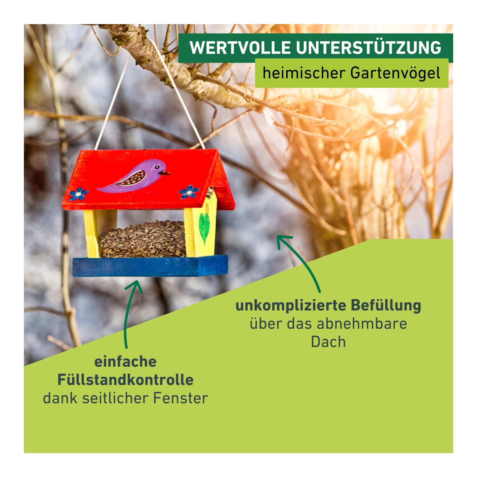 Windhager Vogelhaus-Bausatz Woodpecker für Kinder