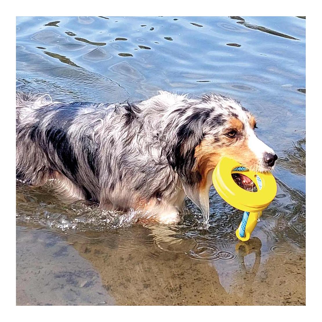 Nobby TPR Ring, Seil + Griff