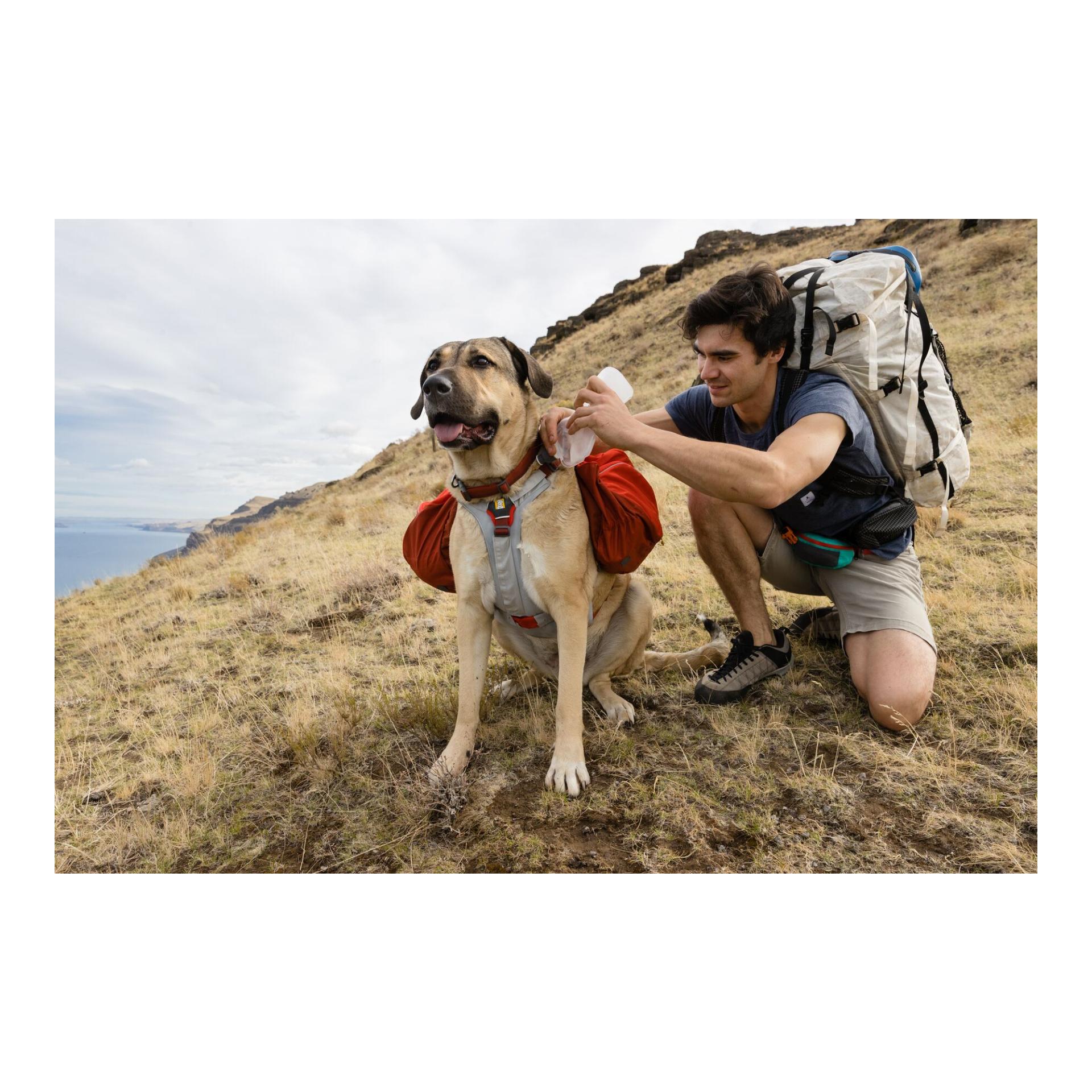 Ruffwear Produit complémentaire Swamp Cooler Core™