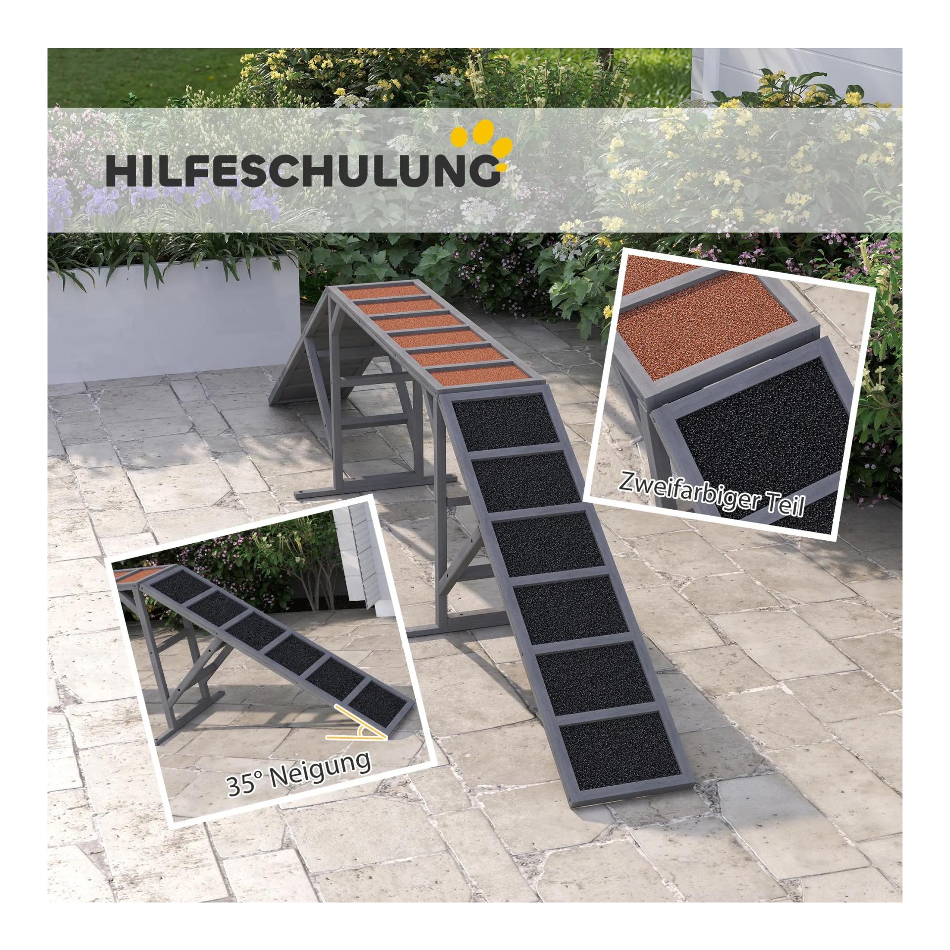 Mainer Hunde Agility-Steg