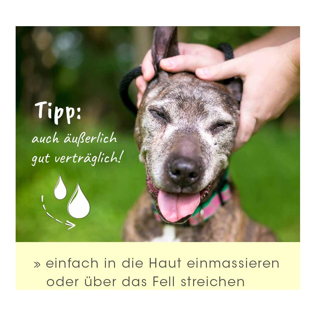 cdVet insektoVet Kokos-Schwarzkümmel-Öl